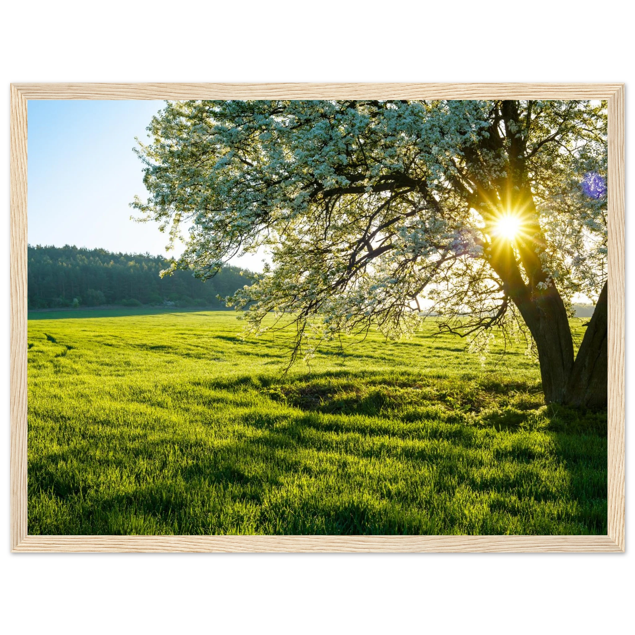 c051c827-cb41-4fd2-8374-0914538a67ab