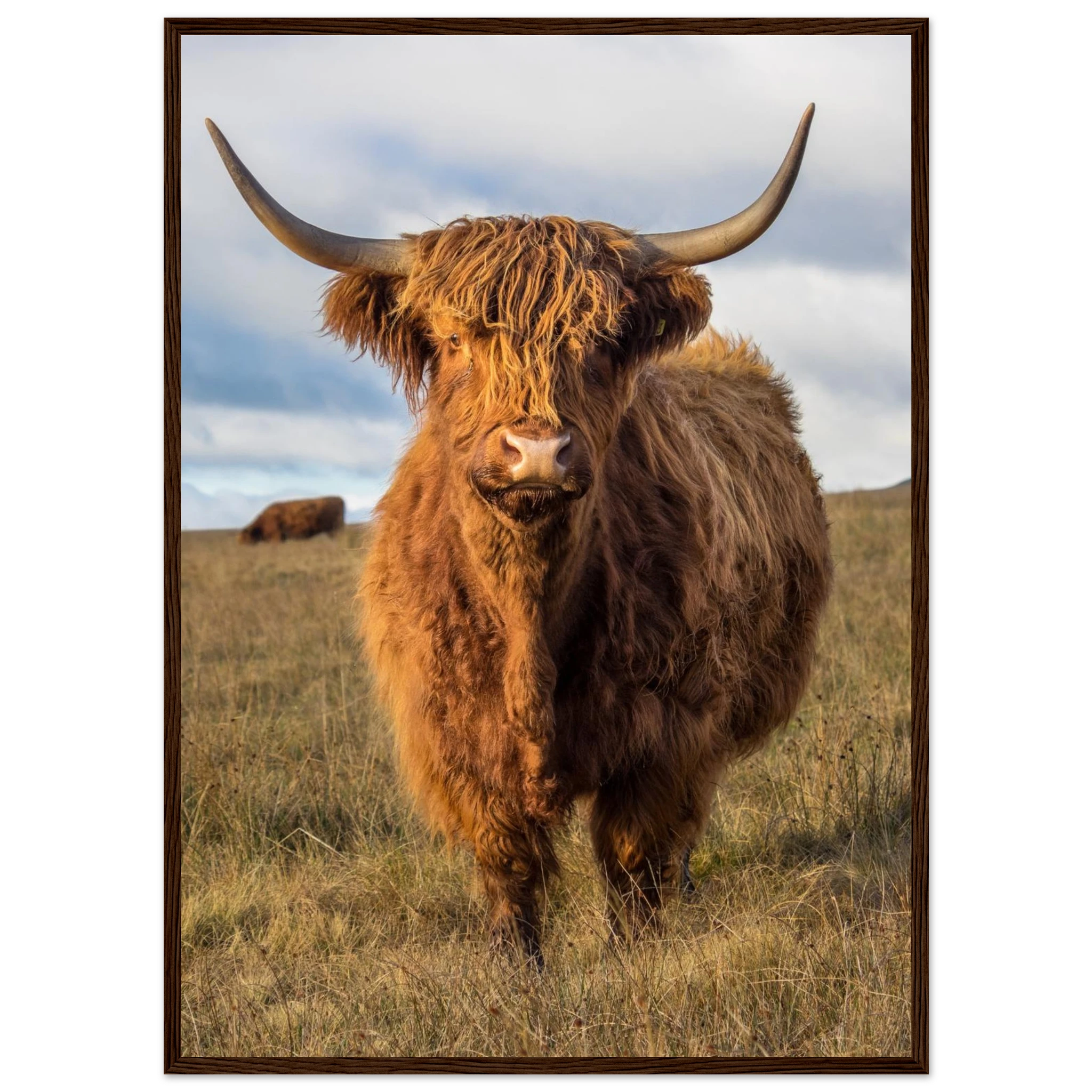 c075c1bc-3dfd-4c34-a6af-e99e6748d67b