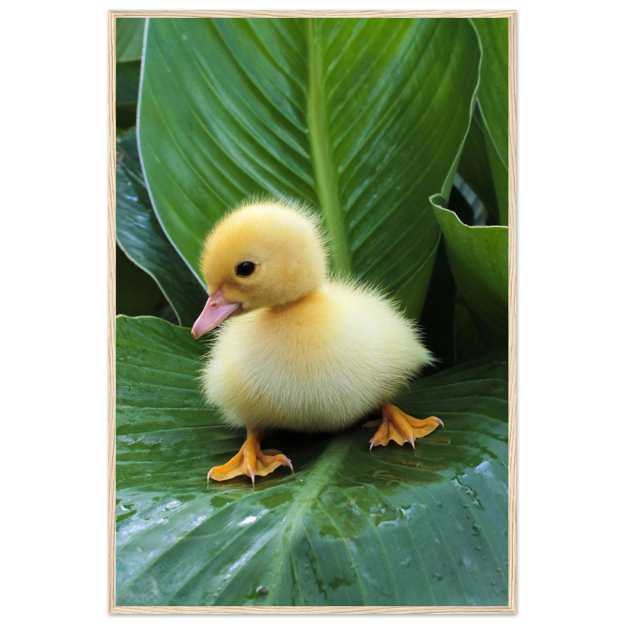 c0c40be2-8b55-47d7-a668-698dab04ce9c