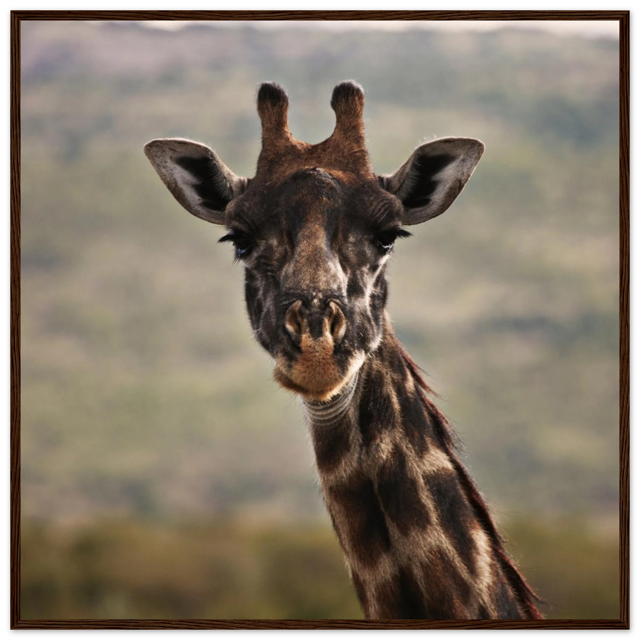 c0d6e54c-b435-4828-94ac-2e4dbb60ccc4