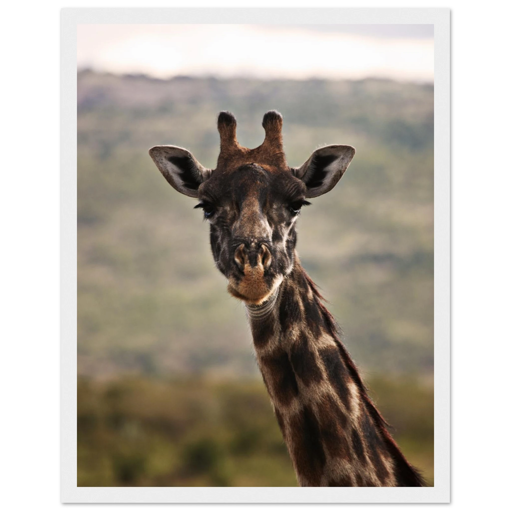 c0d81a10-fb46-4724-8f63-1b6eef4c7aef