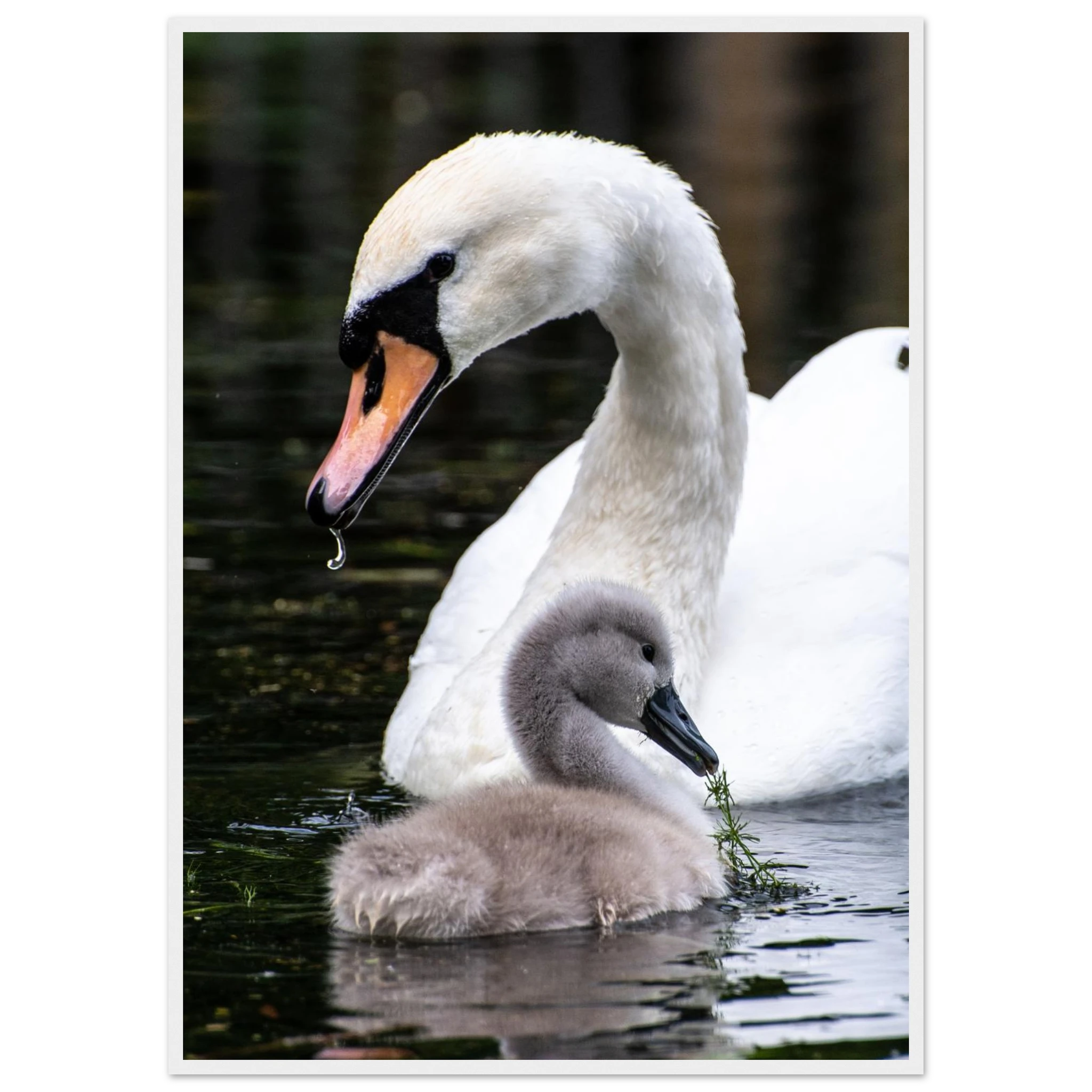 c0df949b-7709-41bd-8039-6000f320bb51