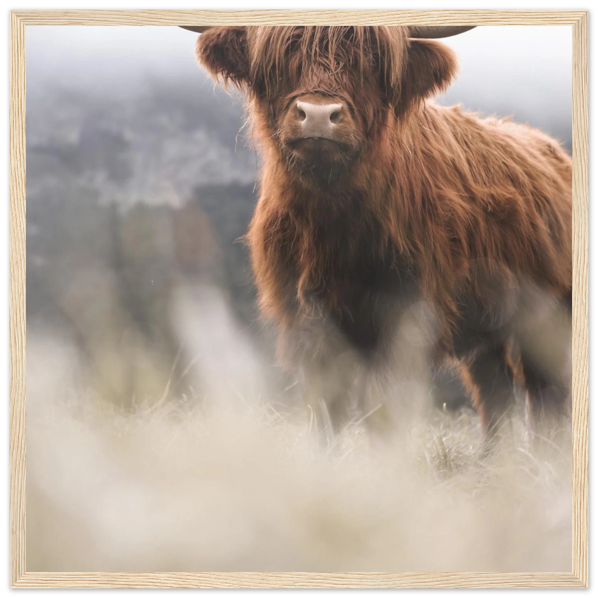 c0f61cf4-efea-4c43-b2c2-4f928eacfabc