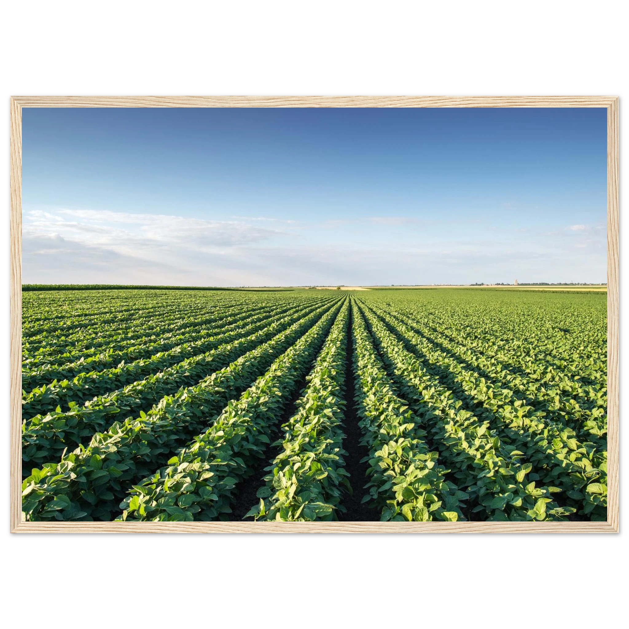 c0fafd61-ed50-48ff-90a7-a6971b30b529