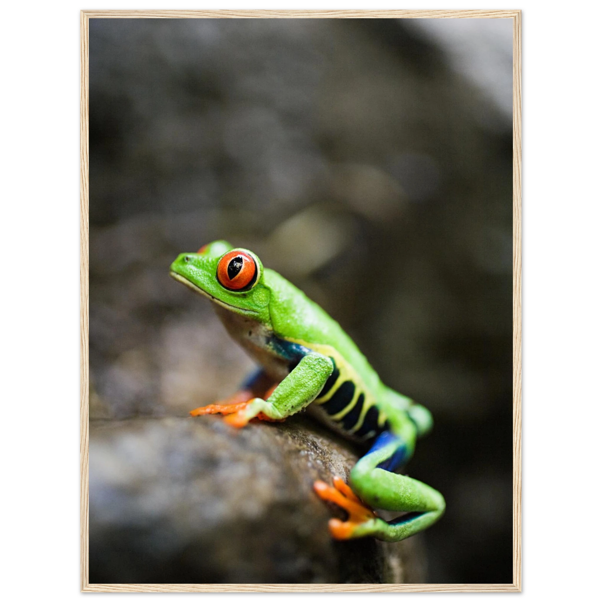 c113b1e1-1a66-459f-ac76-e96d41563cad