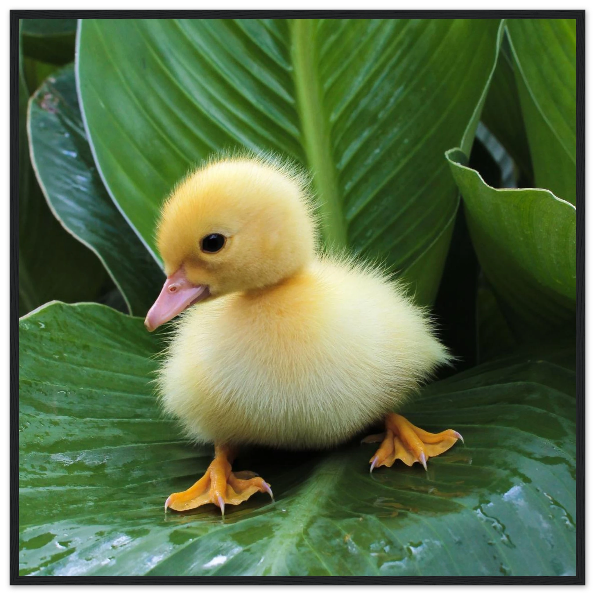 c1291dec-2307-4553-96f6-c457894c9f6e