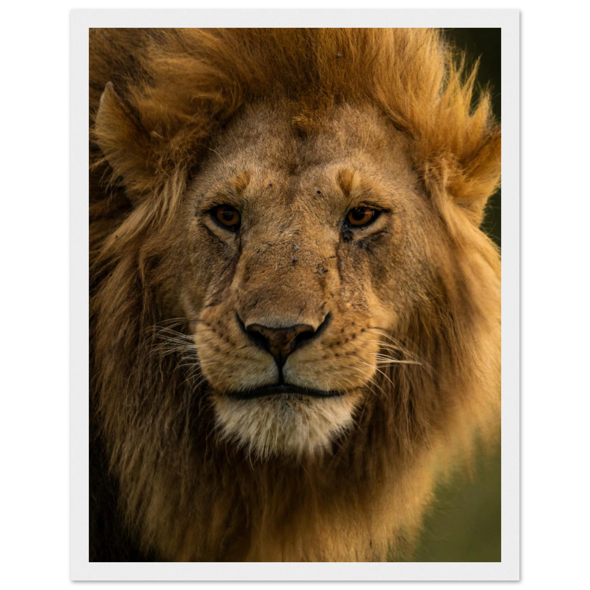 c14cb6d7-0697-4710-ac04-2abf156b17a5