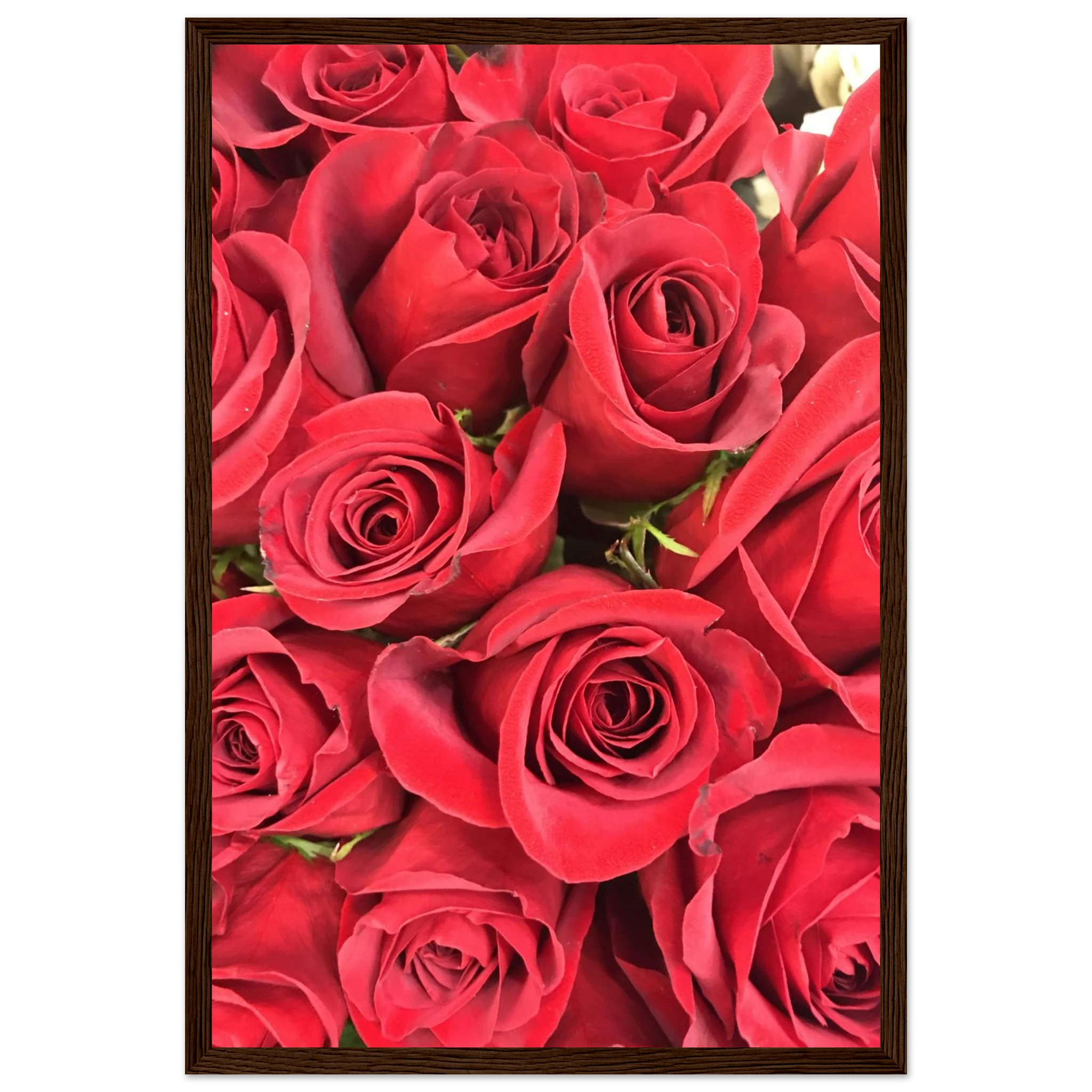 c1621874-f840-42e9-b4ed-e4f8d1246c8f