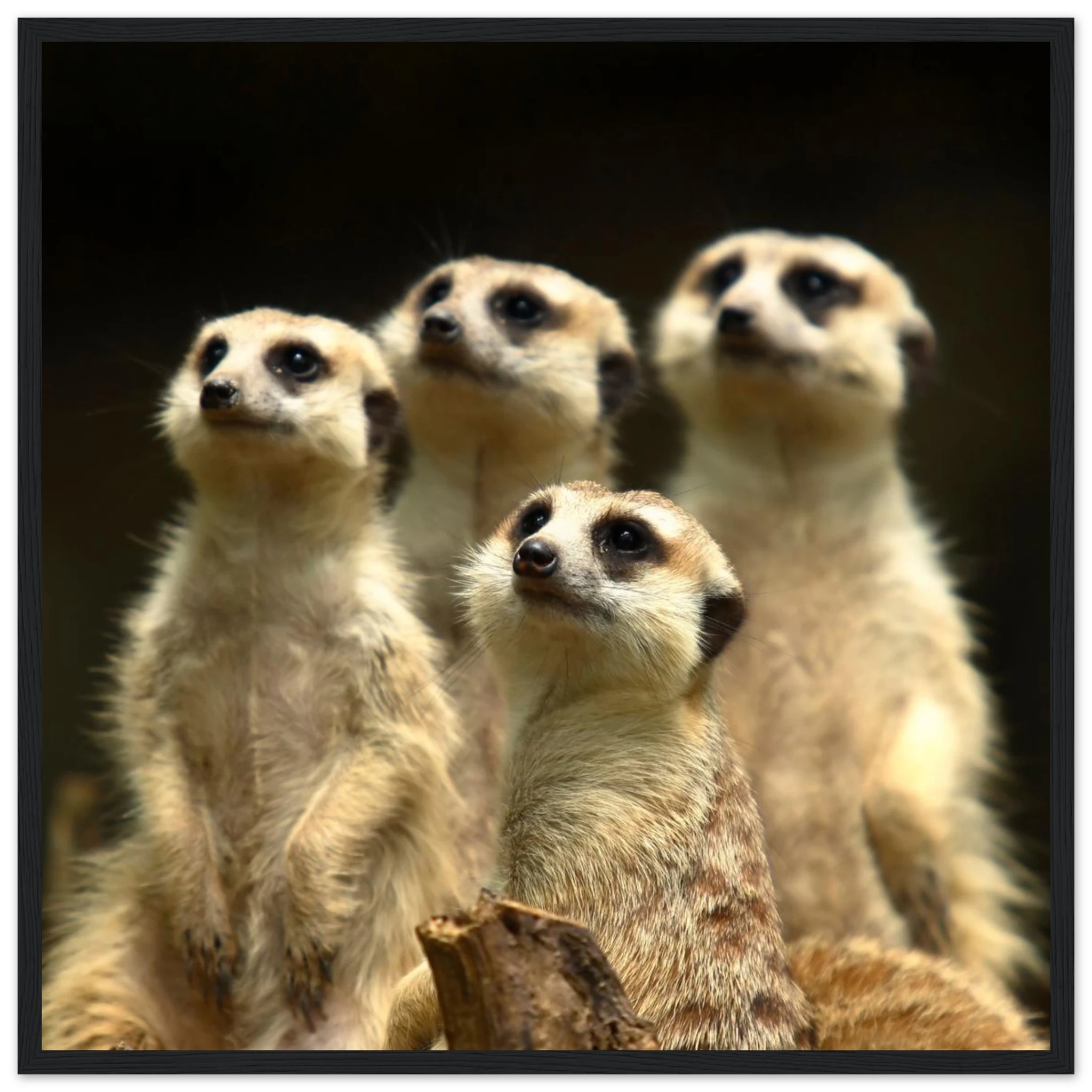 c162bf33-bd3c-4b9f-b187-c06d3790969c