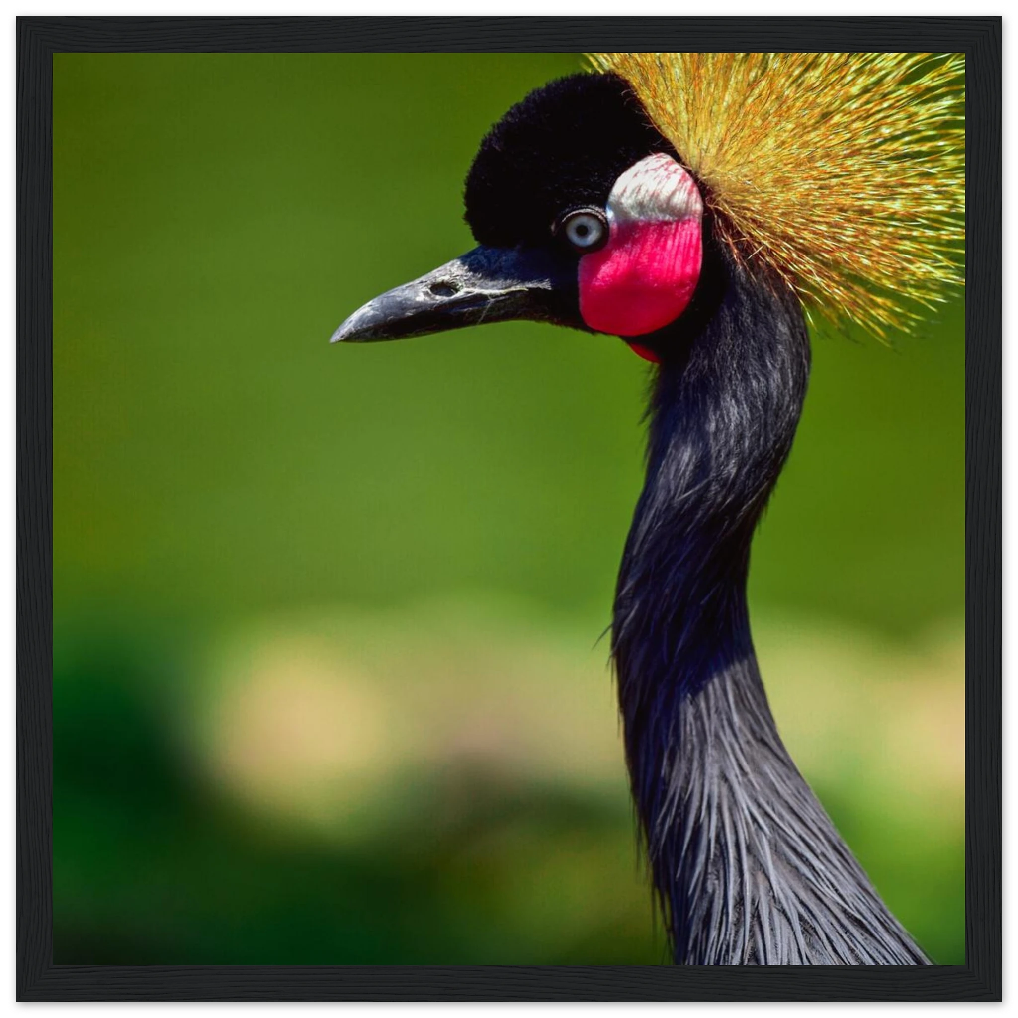 c16841b9-3884-449c-9eec-f59fb05bfd92