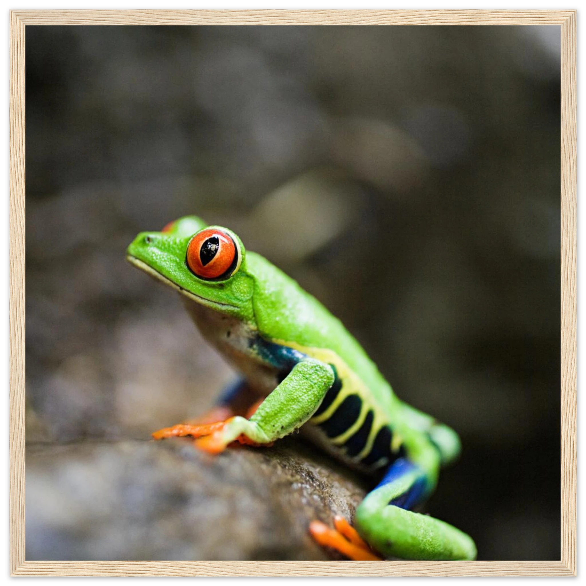 c16cb888-646b-4de2-9d17-6165ac57ffb7