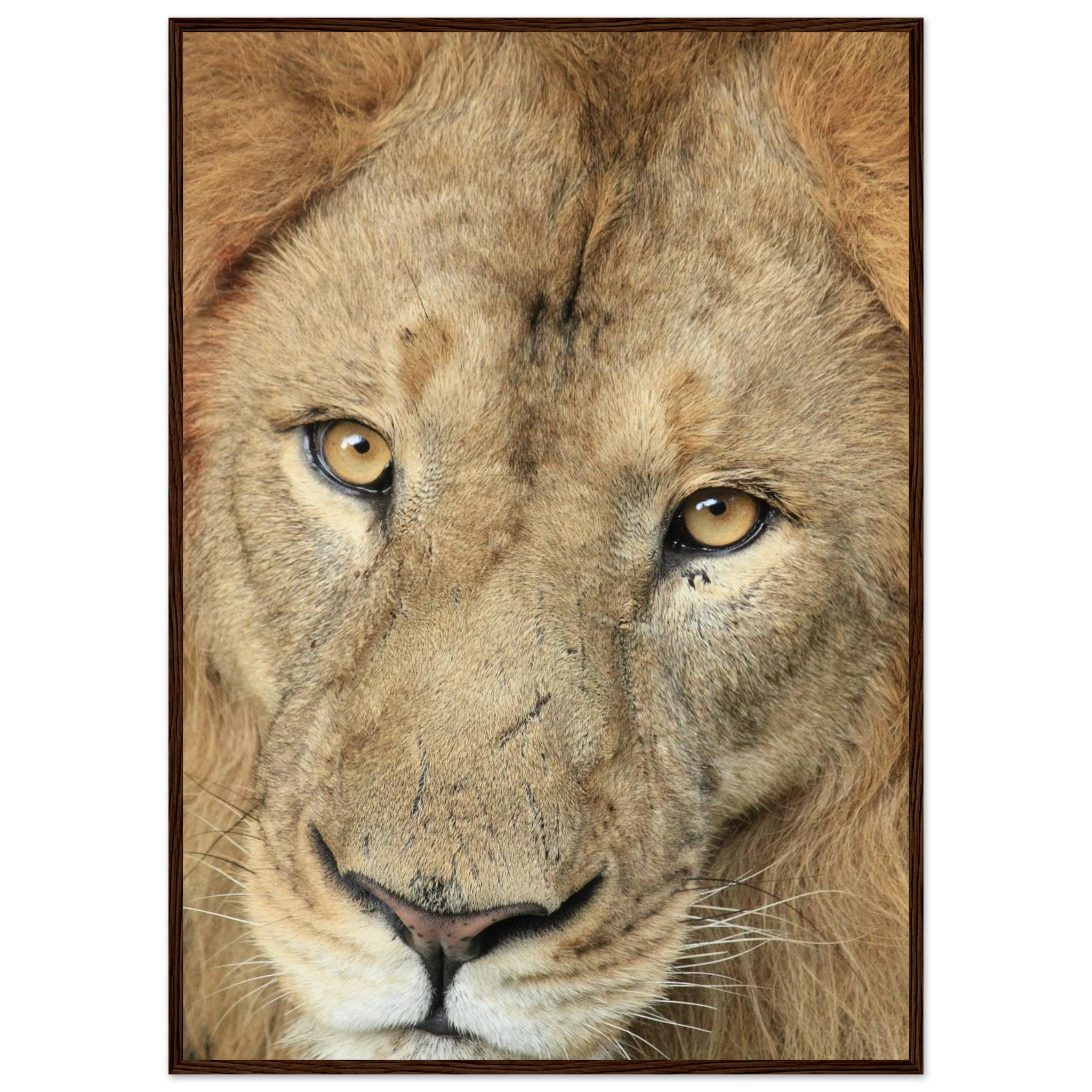 c17c2f4e-4e11-4cce-899d-bd0c07532037