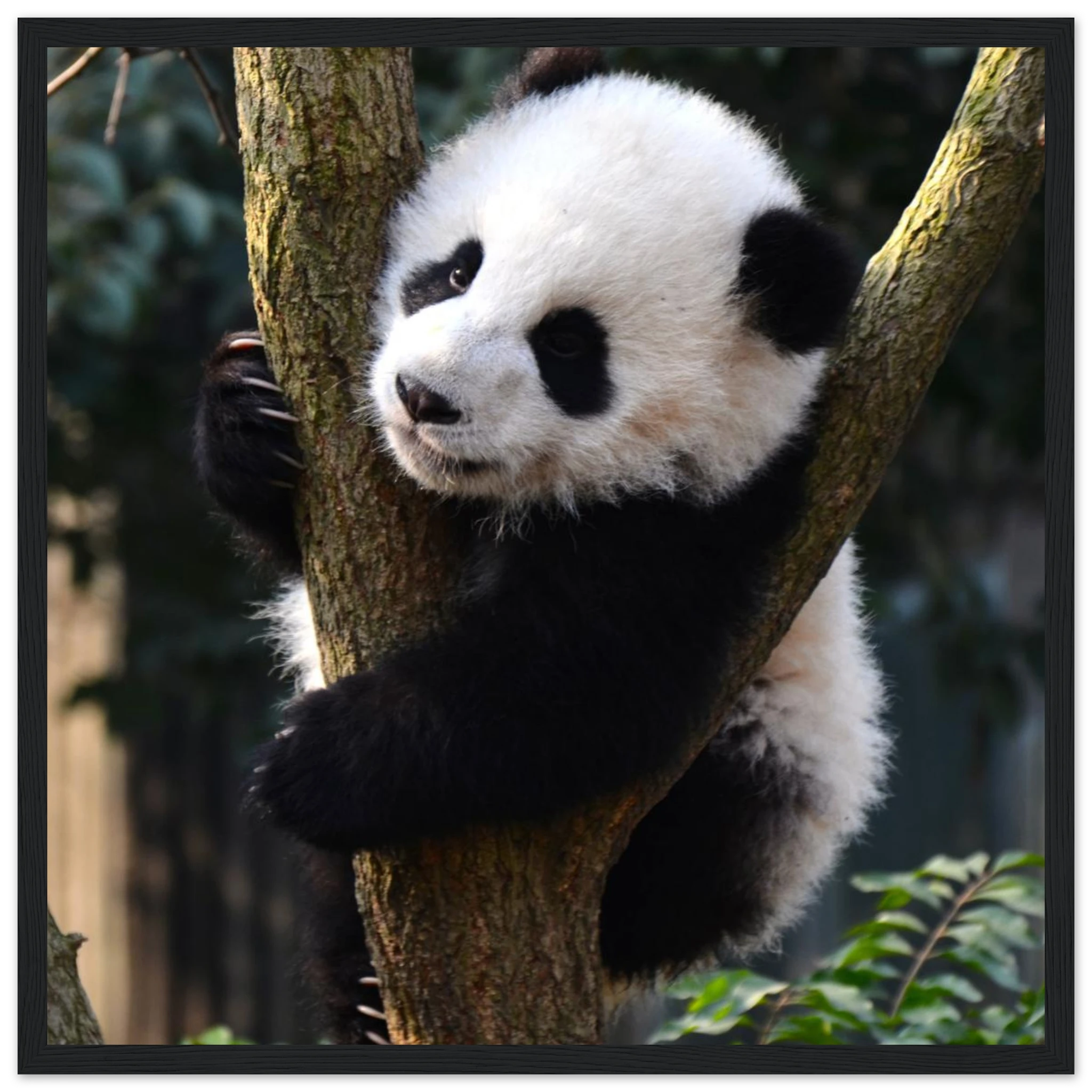 c17e562a-6830-41c5-b615-d5954d8431aa