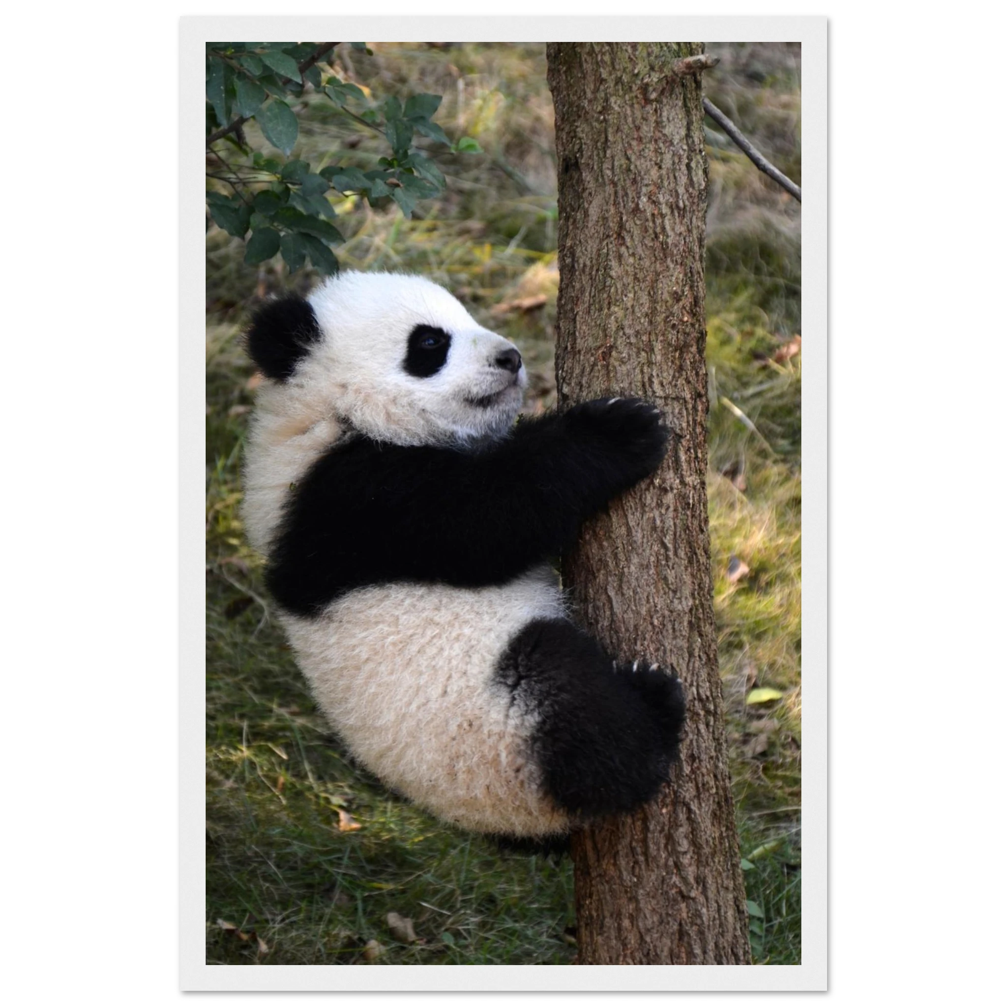 c1a404a1-af42-4705-8d0a-a07452584559