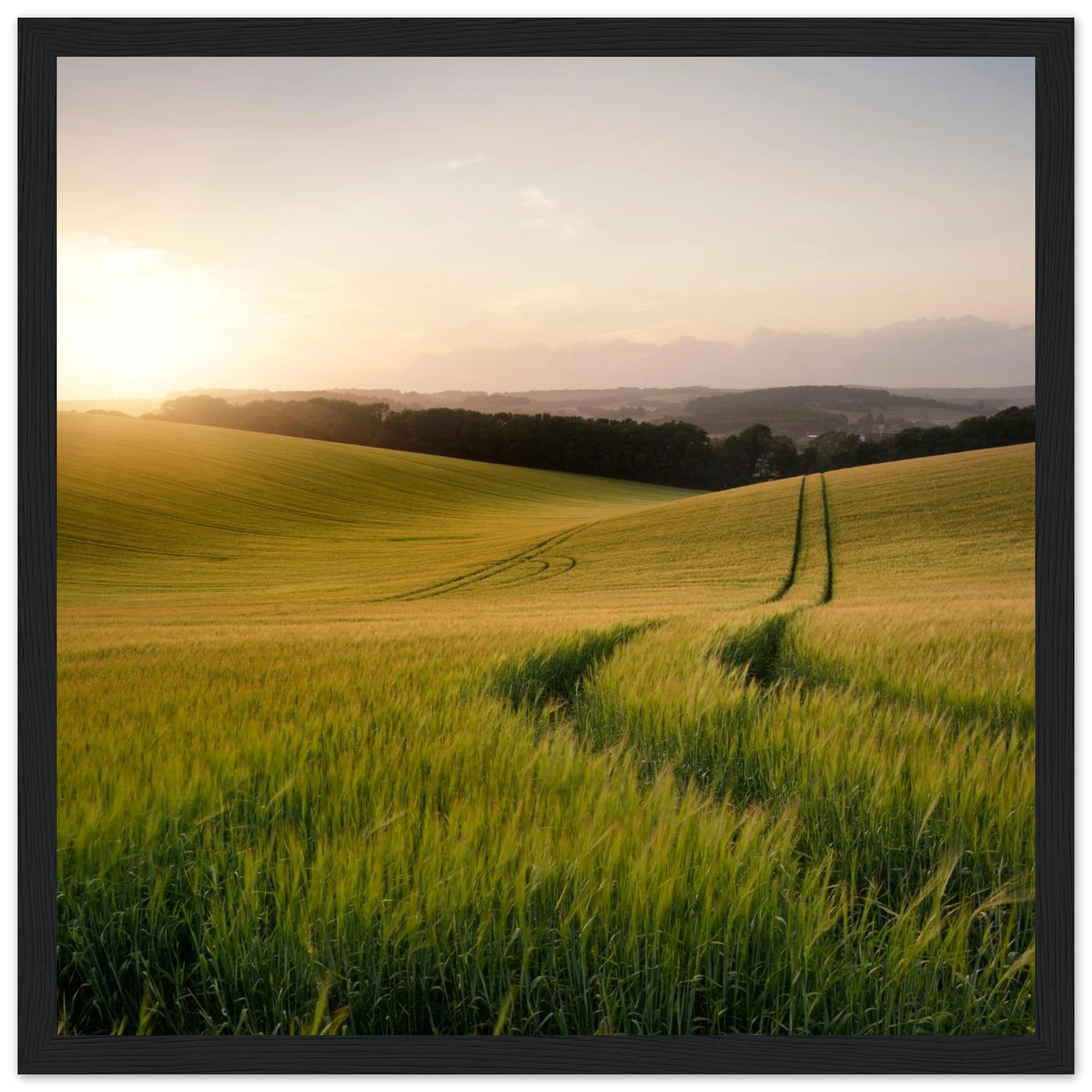 c1ae99ac-aa57-4a4a-b226-1748bb61fba8