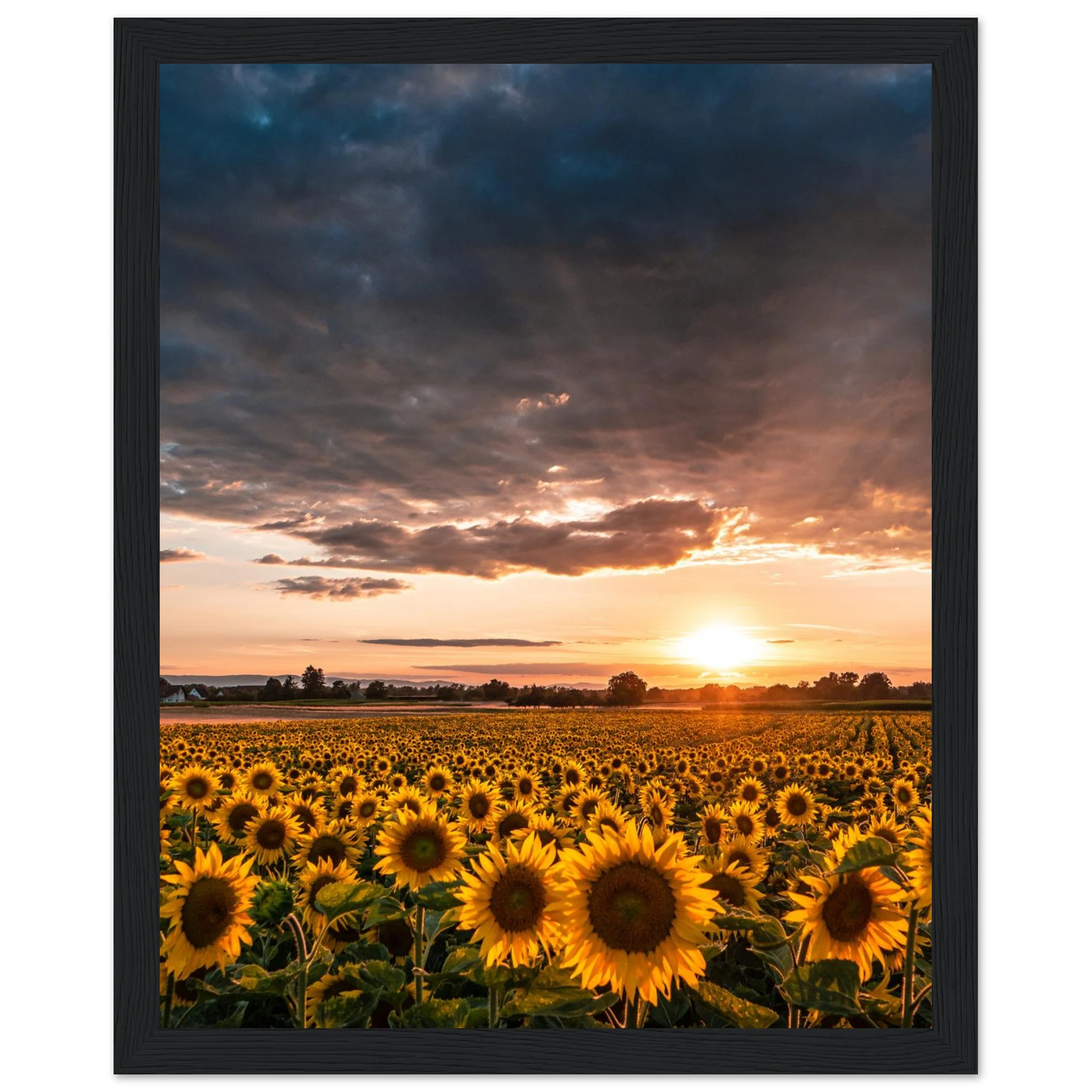 c1b0910f-9f86-4e4b-9ca6-0d58ae804547