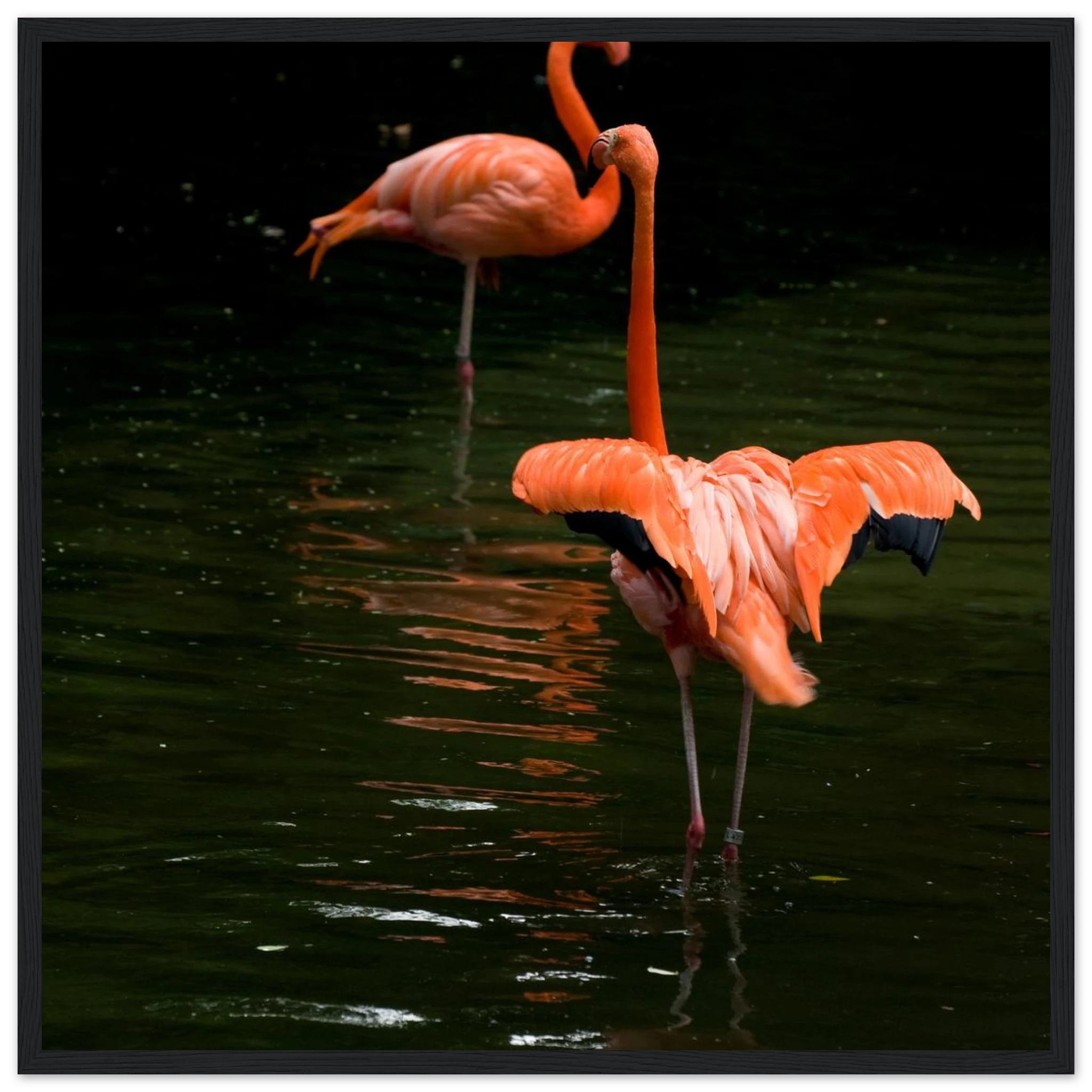 c1cc6e4d-2c6f-4a3f-95d1-e6e9062e0122