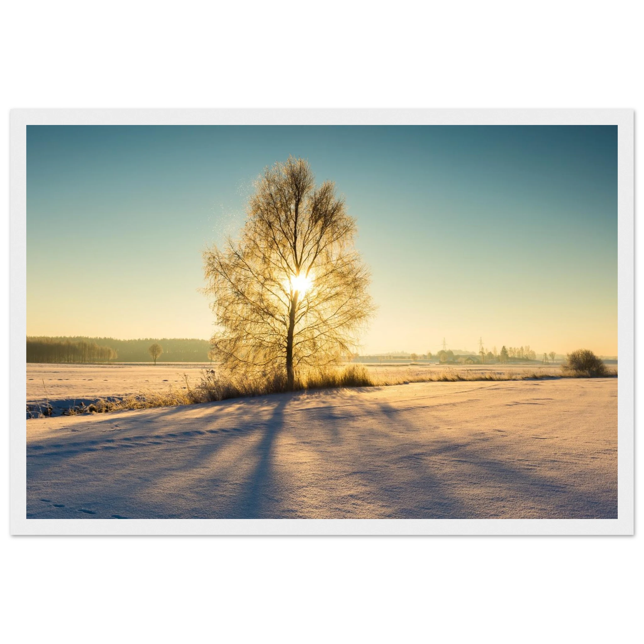 c1ec7afa-ef0c-44b4-98b0-a0caa9b6b3e6