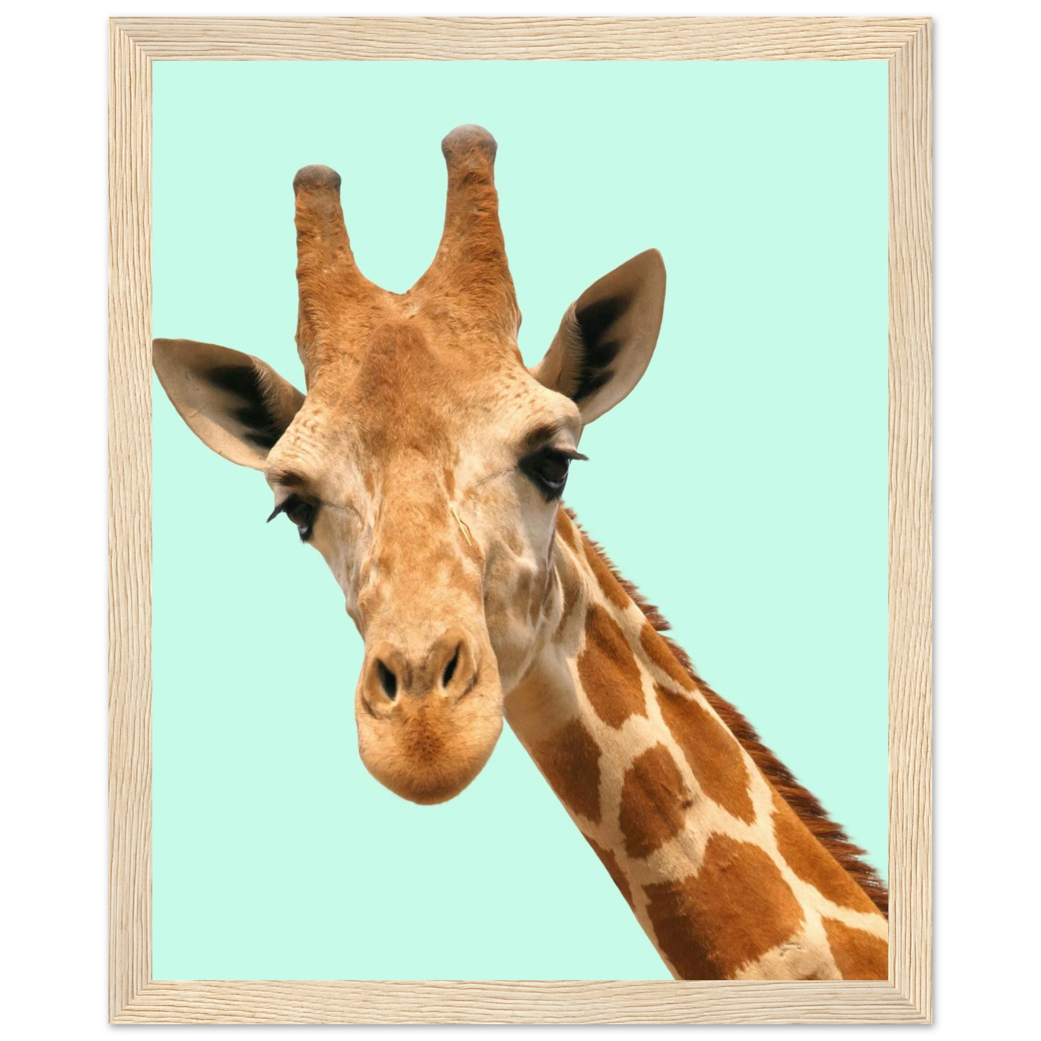 c1ed9f5e-0d02-4199-9239-095a3e03d653