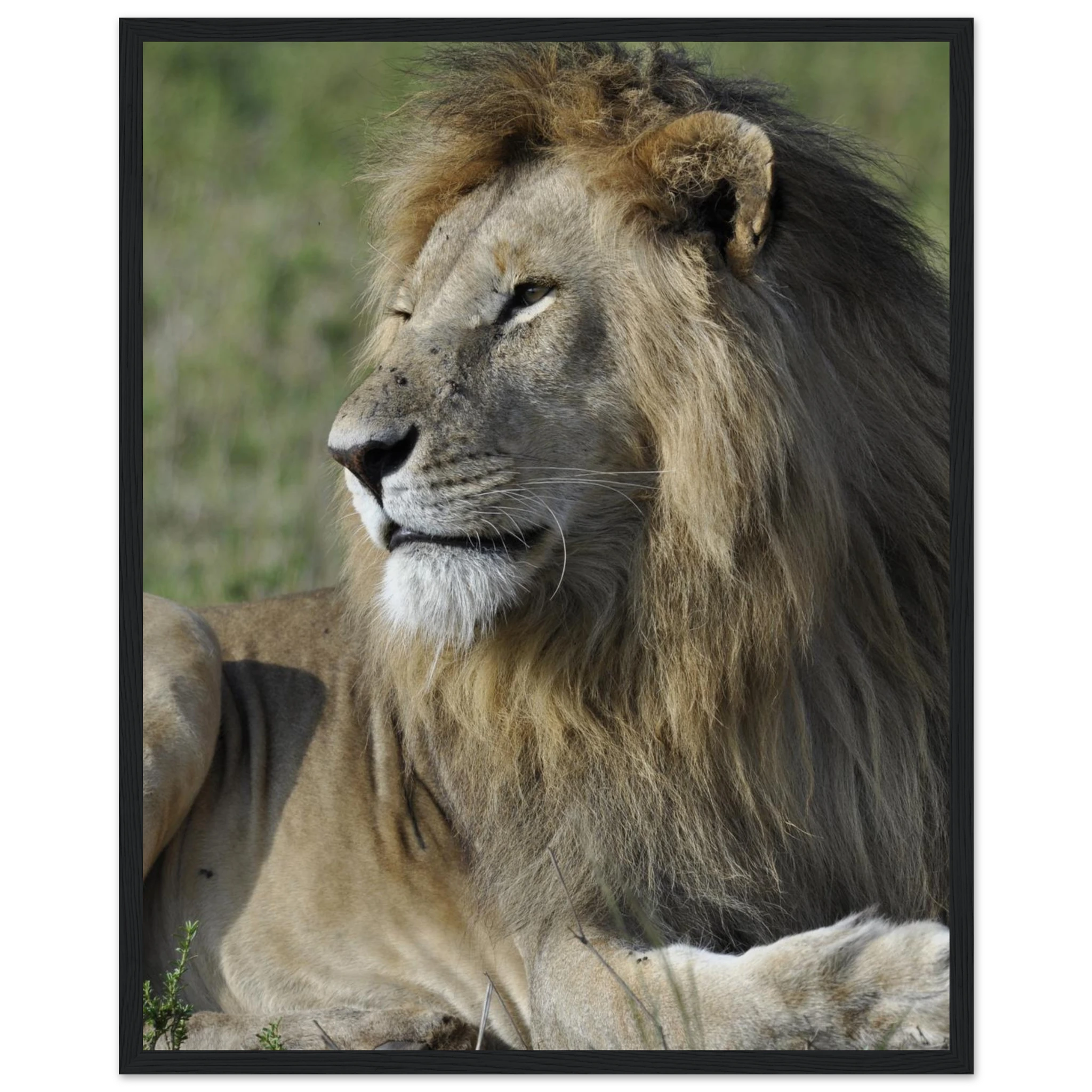 c1f58bd5-50d3-47c2-b792-8dd76eecc677