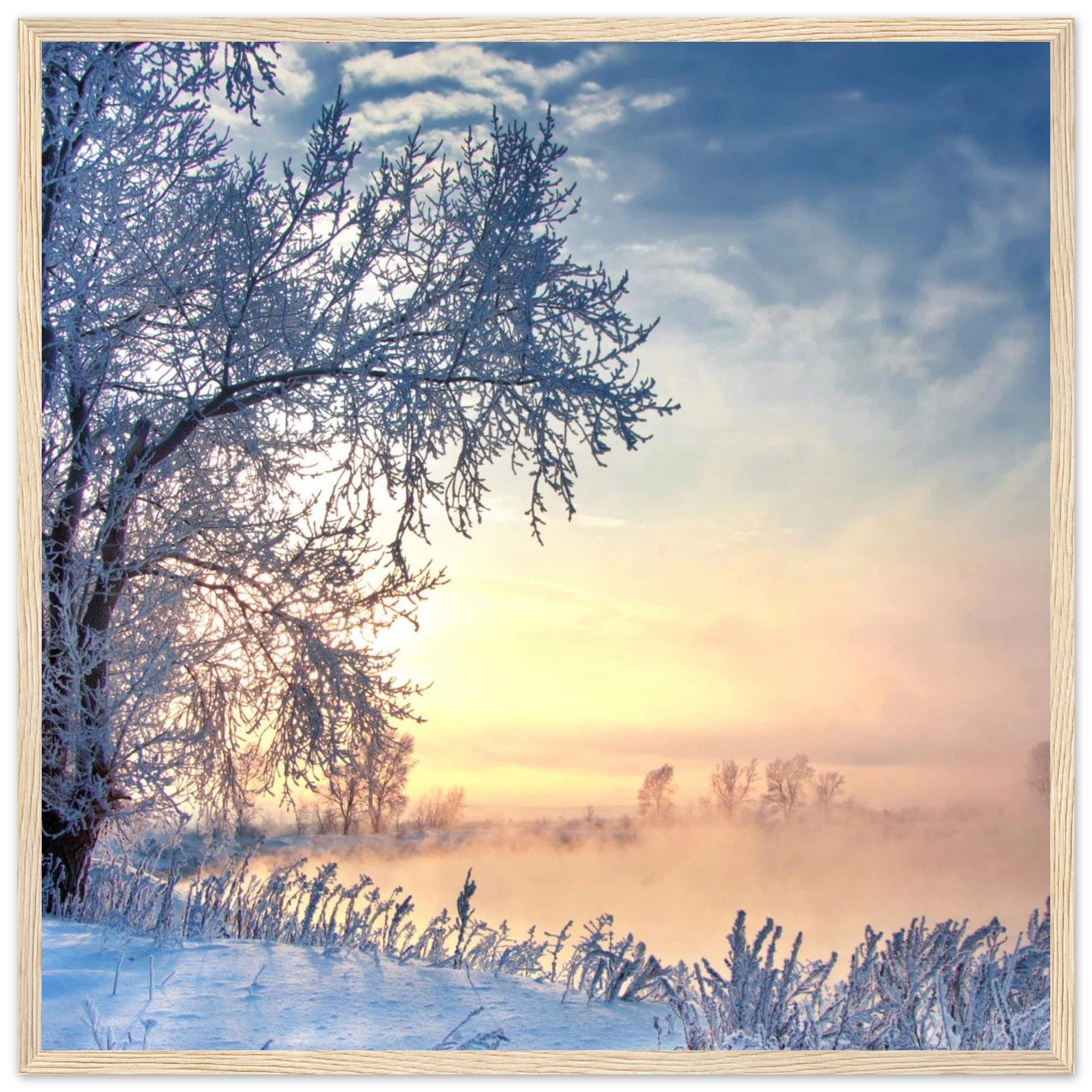 c20116b2-a5fb-46b6-9879-ac13f7f7087d