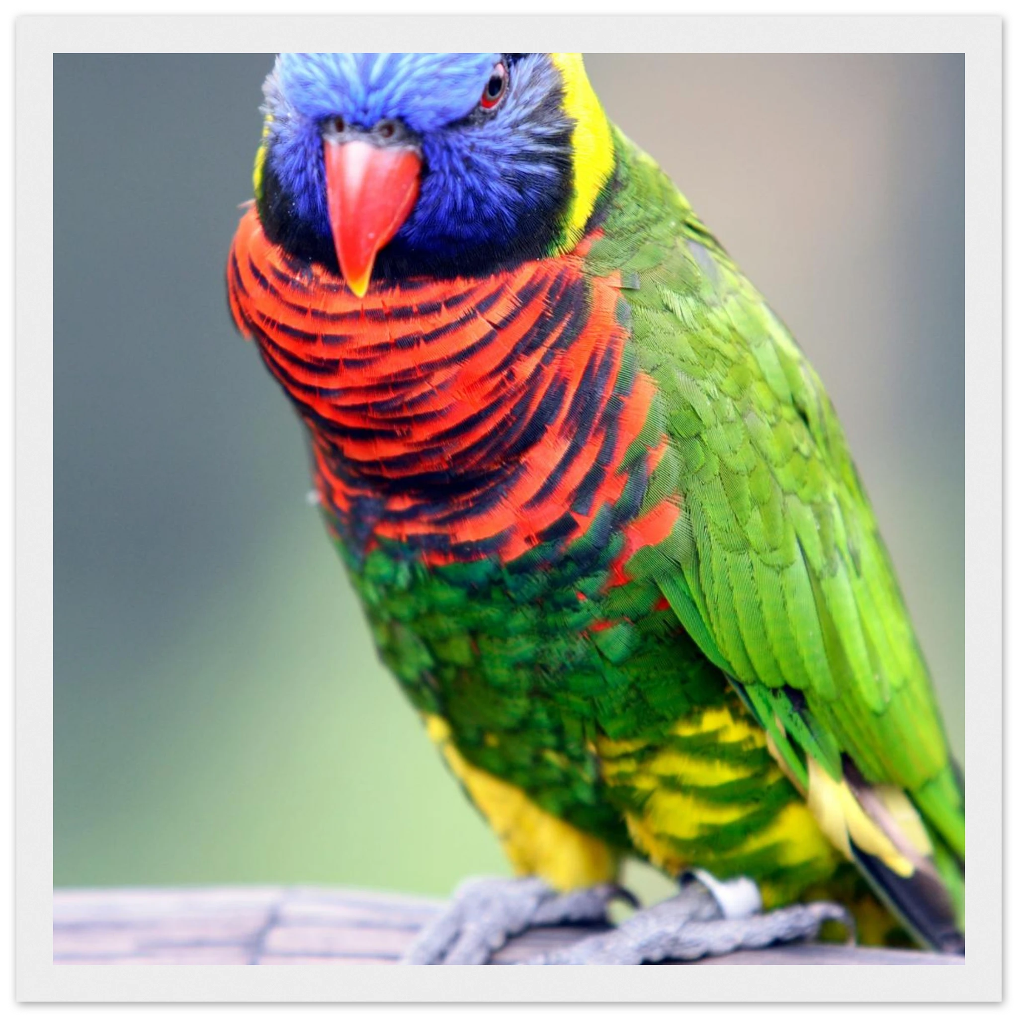 c207a9f7-42f5-463c-b2c6-ecbe5167e291