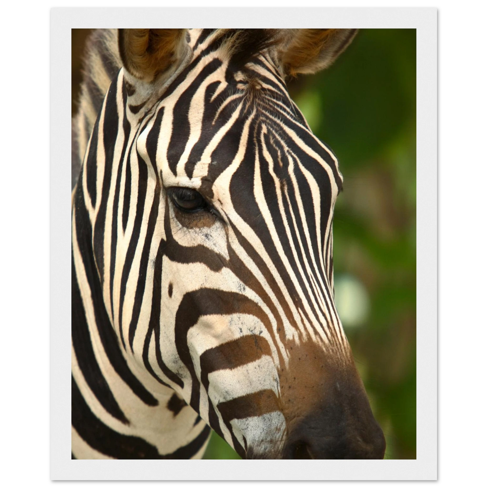 c2176103-910b-4c5e-aa9c-1ea33106ad89