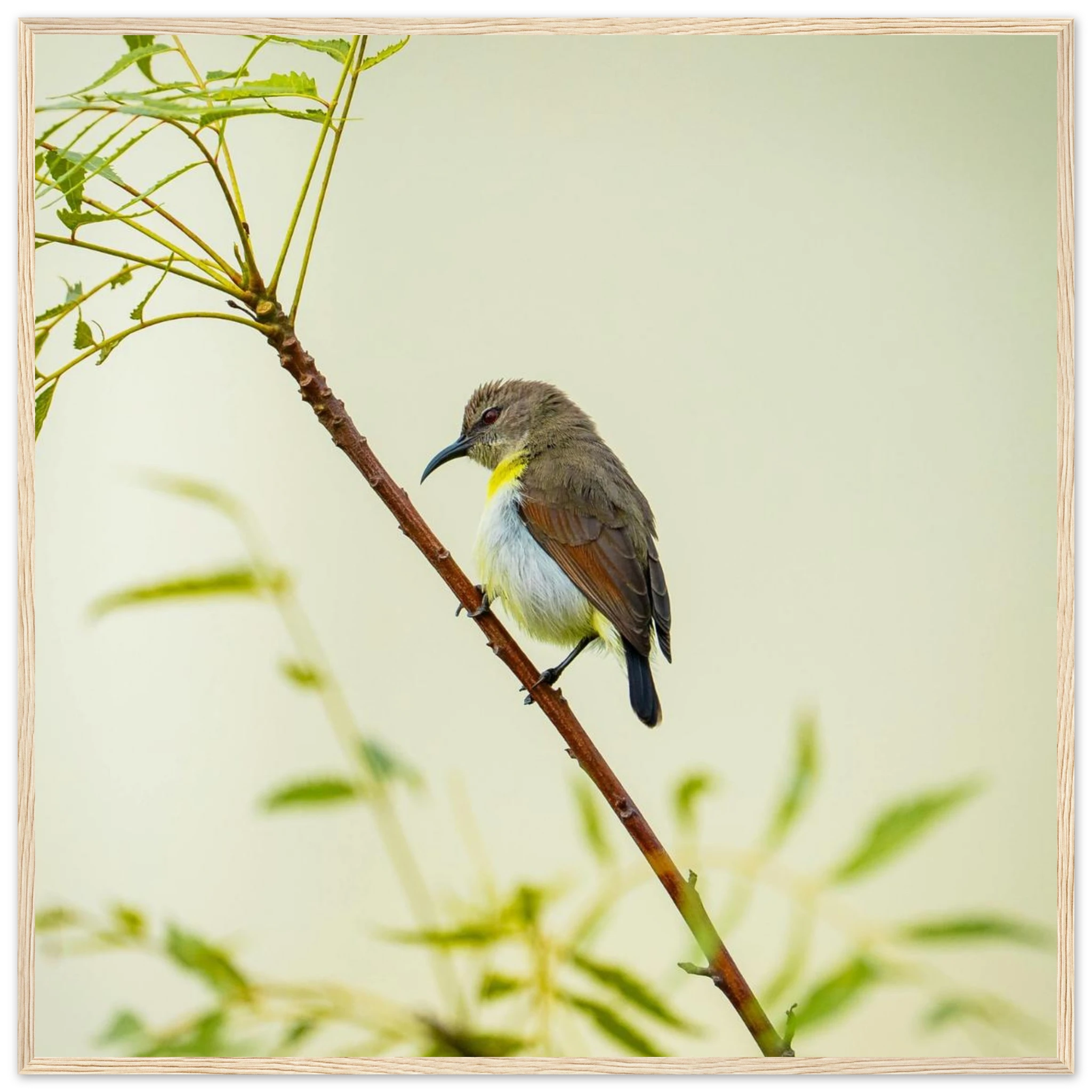 c2219d6f-084c-41d8-9cb0-56539f6486ee