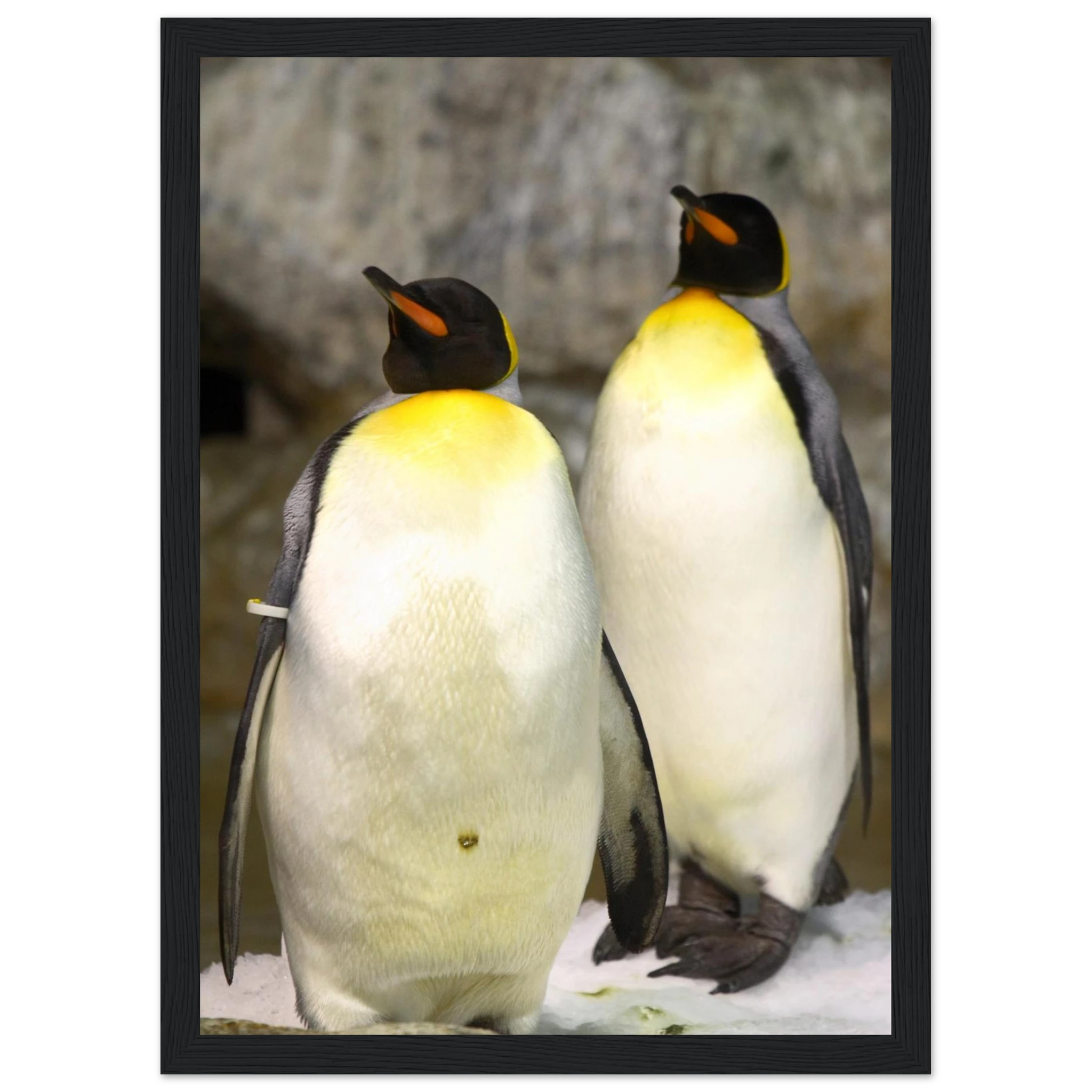 c26ef5dc-7235-47ce-acbb-58d1c0ee3fb6