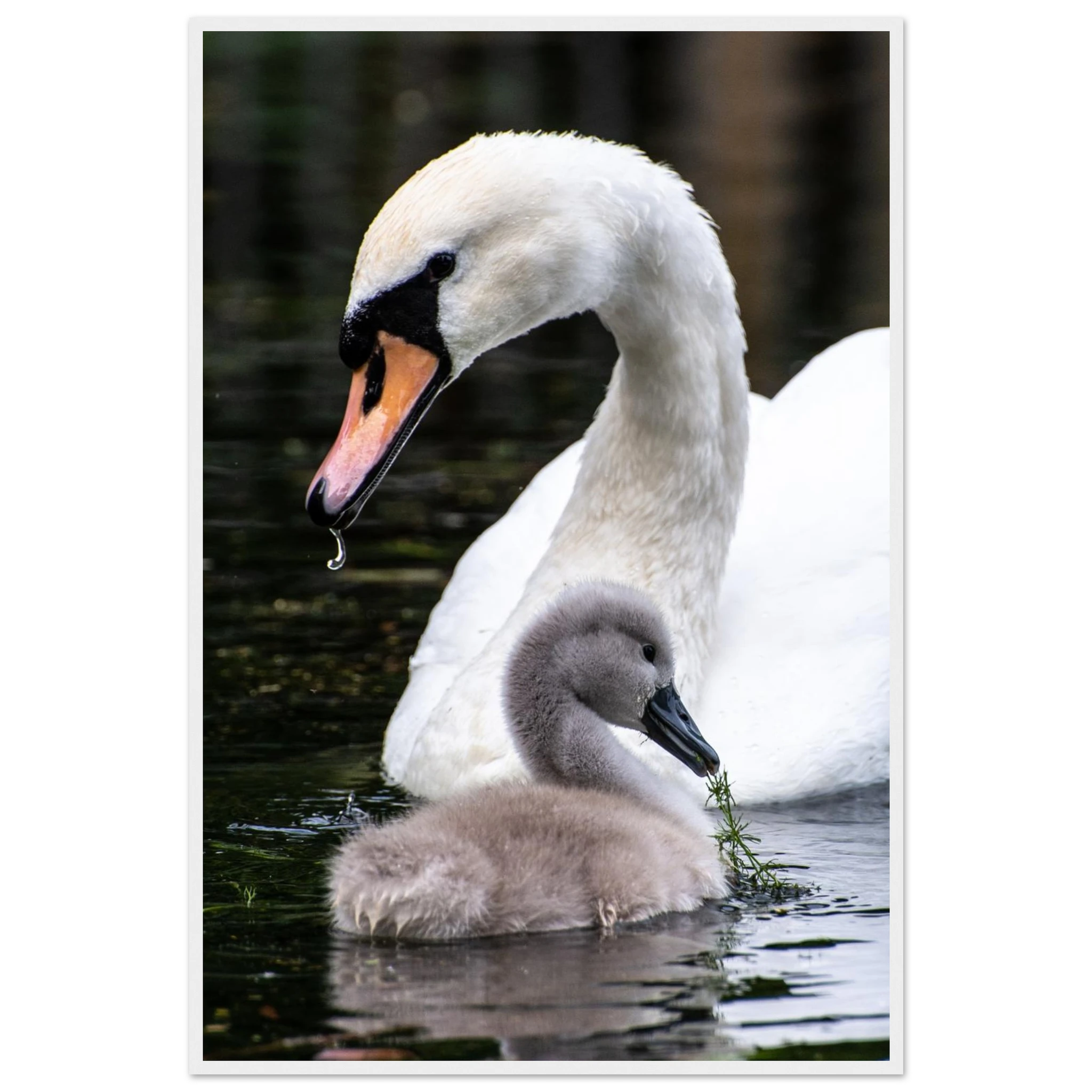 c27d2037-9b34-4f22-92a0-0c9173a8ed87