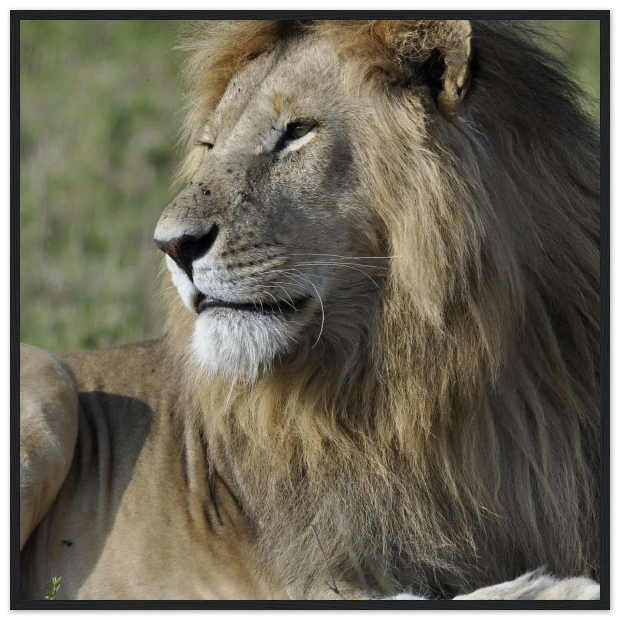 c2aa5b5e-52ba-4aee-a4a9-20e6aba10d4e