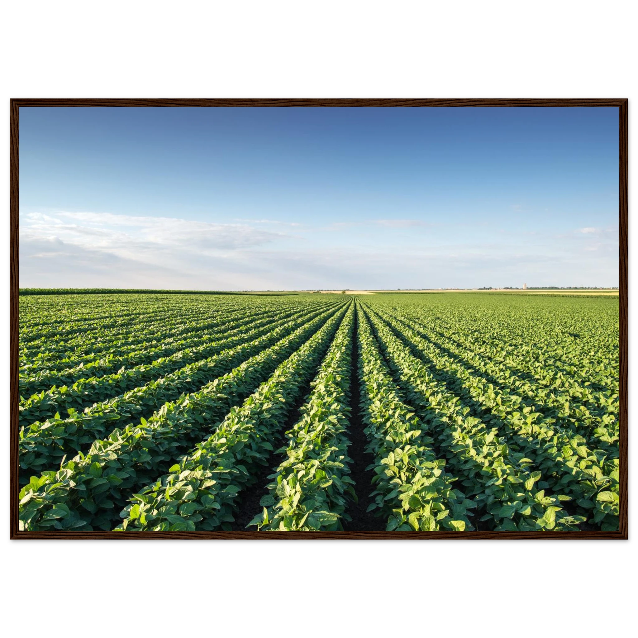 c2b578af-0c8c-44db-b897-77d96a051648