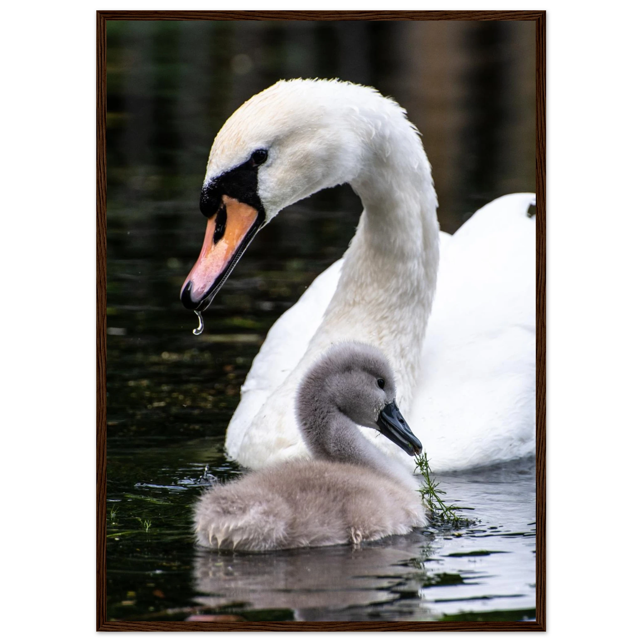 c2c44cc9-8276-477d-b91b-15a4ba99d035