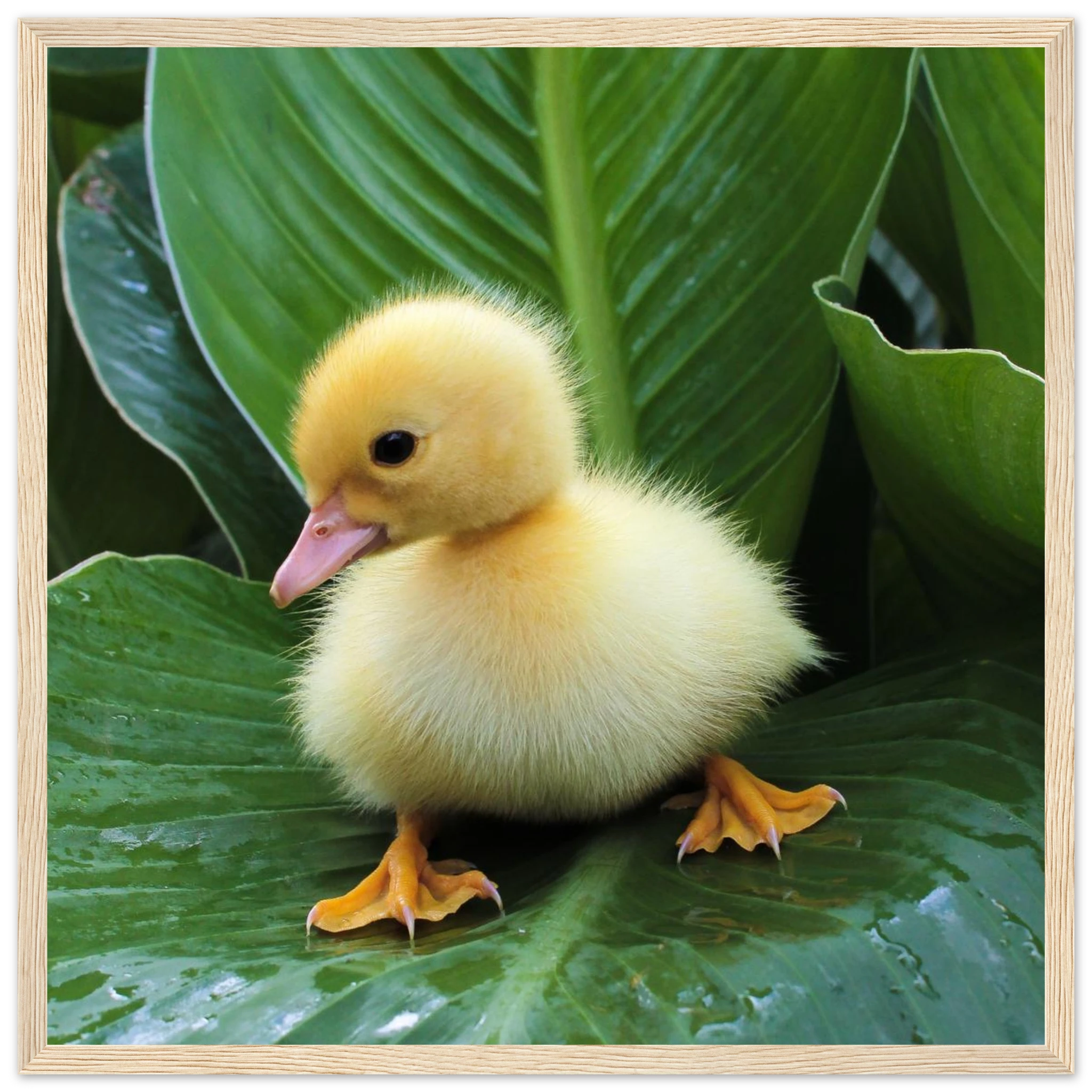 c2c75a62-fe4b-483a-a964-284f951d99b9