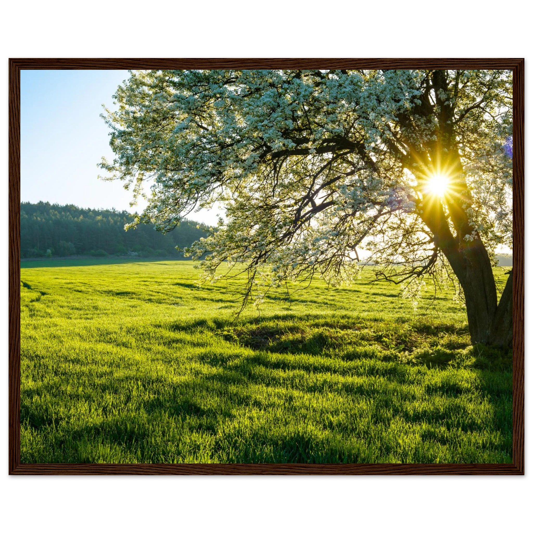 c2d0a35e-4b74-41fc-ba0f-aa36a59bb655