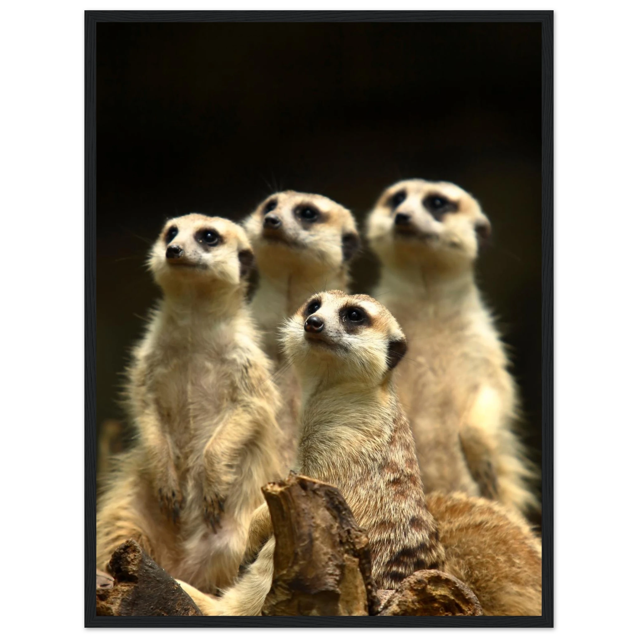 c2e04647-a9a4-48dc-9e10-0f36f8ffbef0