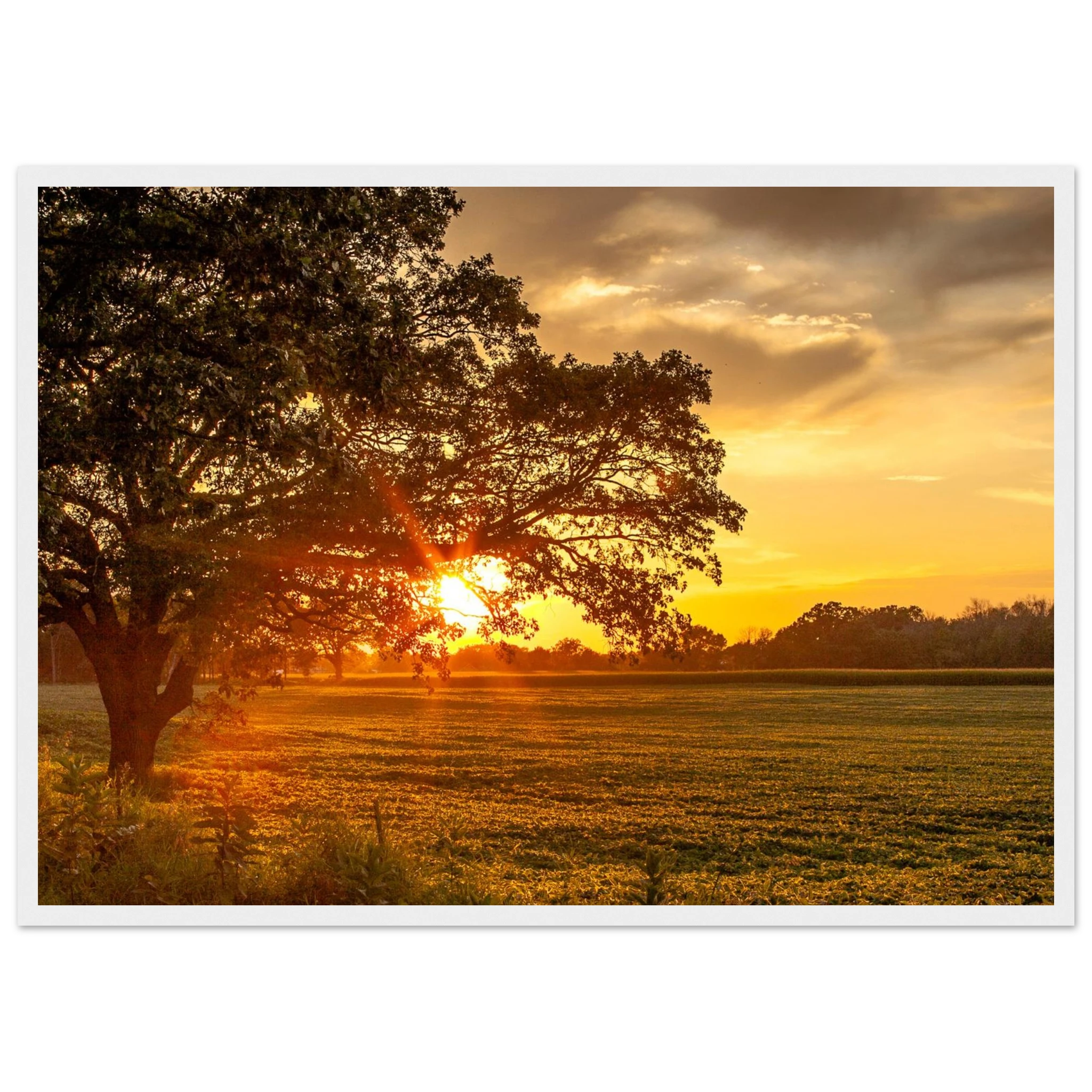 c2e40f16-13f3-4c71-a716-0700d35c853d