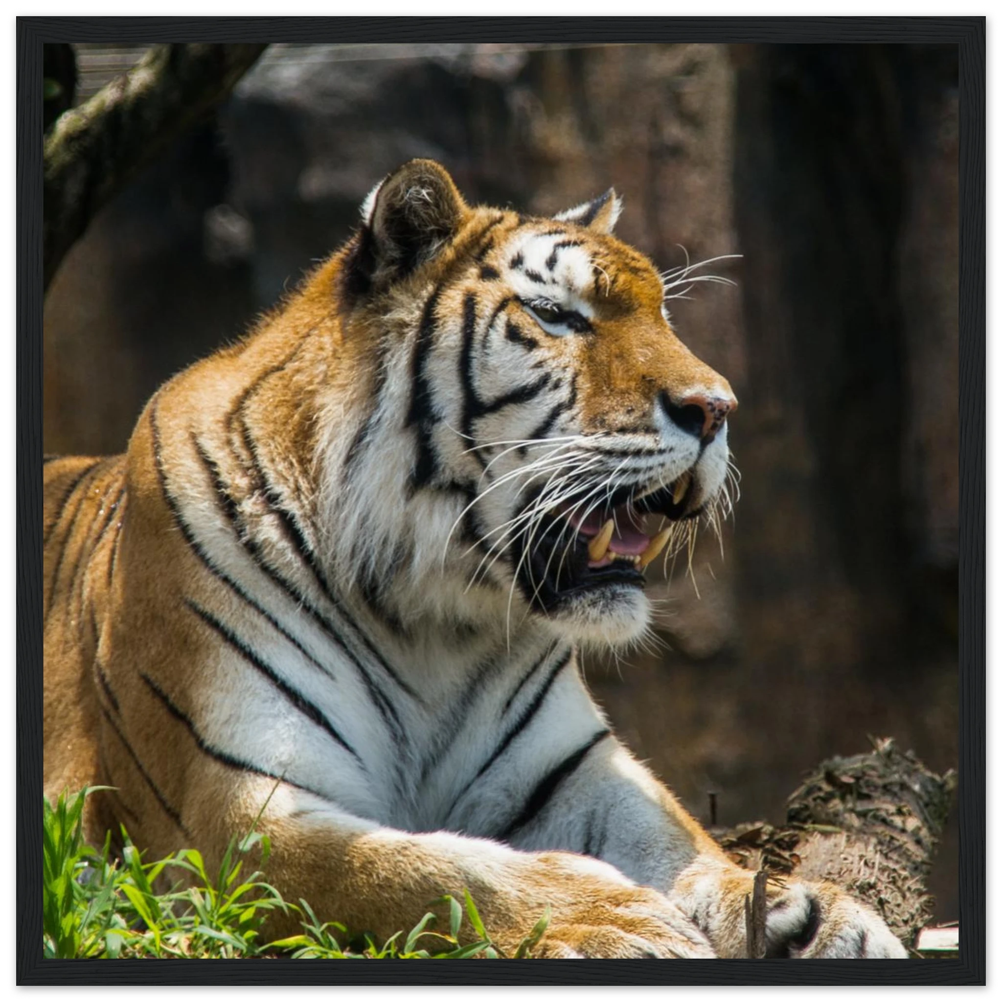 c2ff5bbd-5607-42e4-a786-9d777f4808d9