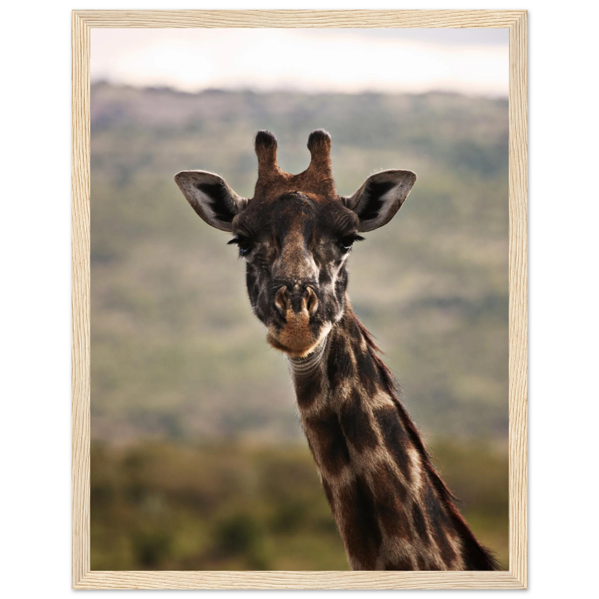 c30a646b-a07b-4c28-bd0d-48896a364e1b