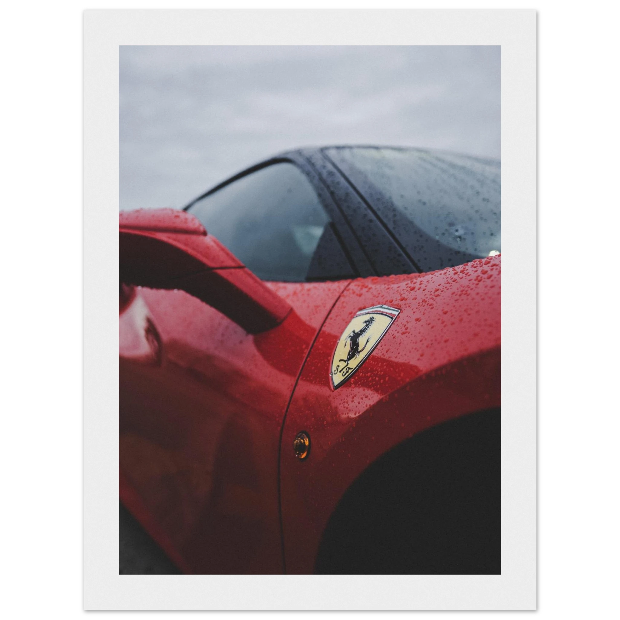 c3113606-12e3-49f4-86c5-90231e77eeb0