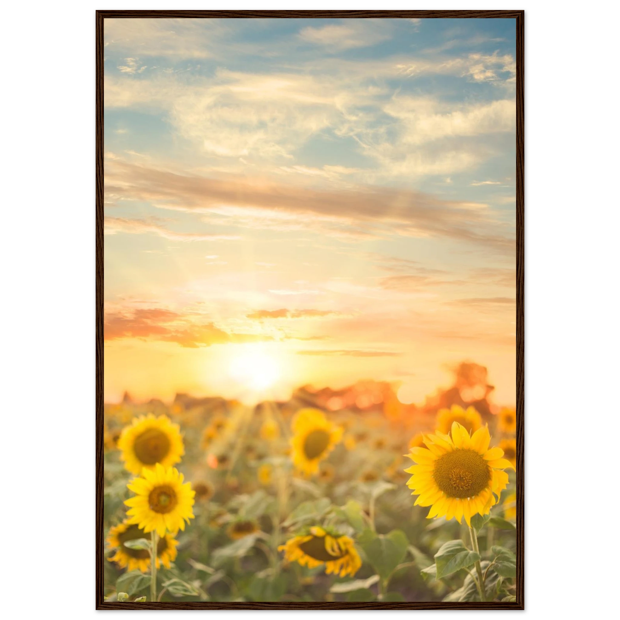 c31973df-7bc7-4daf-b5cb-39320cac8d09