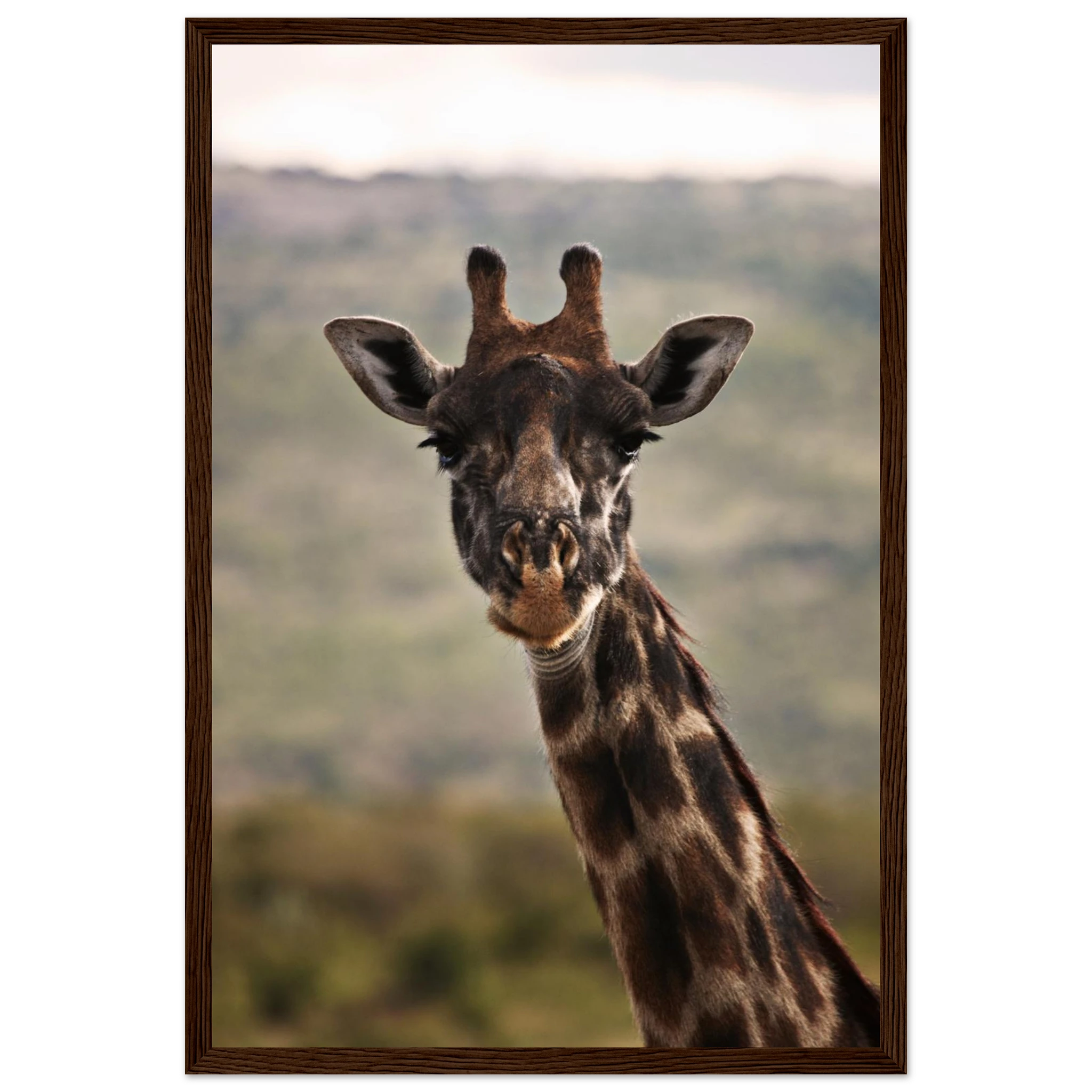 c32c69f6-7a71-478a-ba10-a31223aafa20