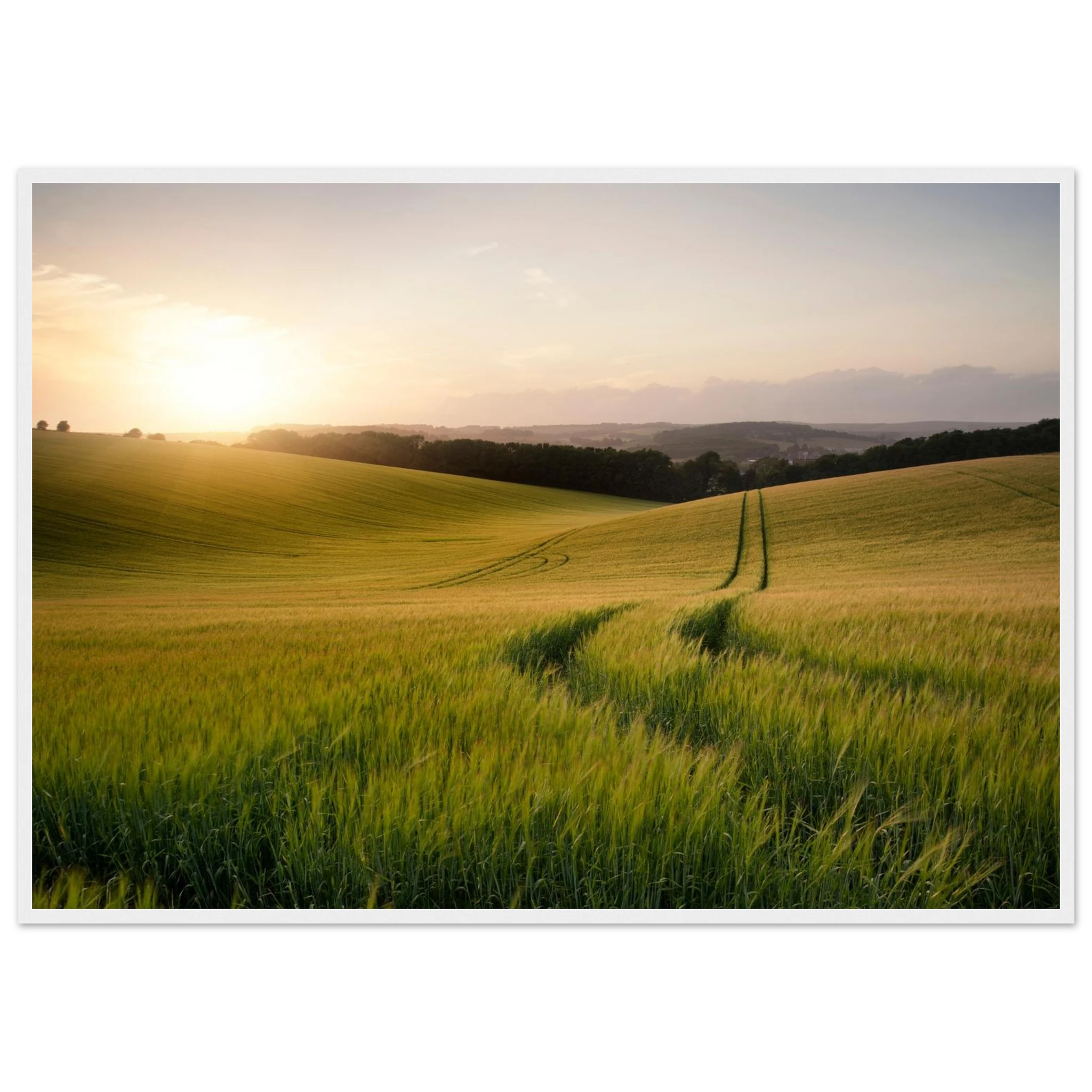 c3537baf-5eac-42dc-9708-cc9068145bde