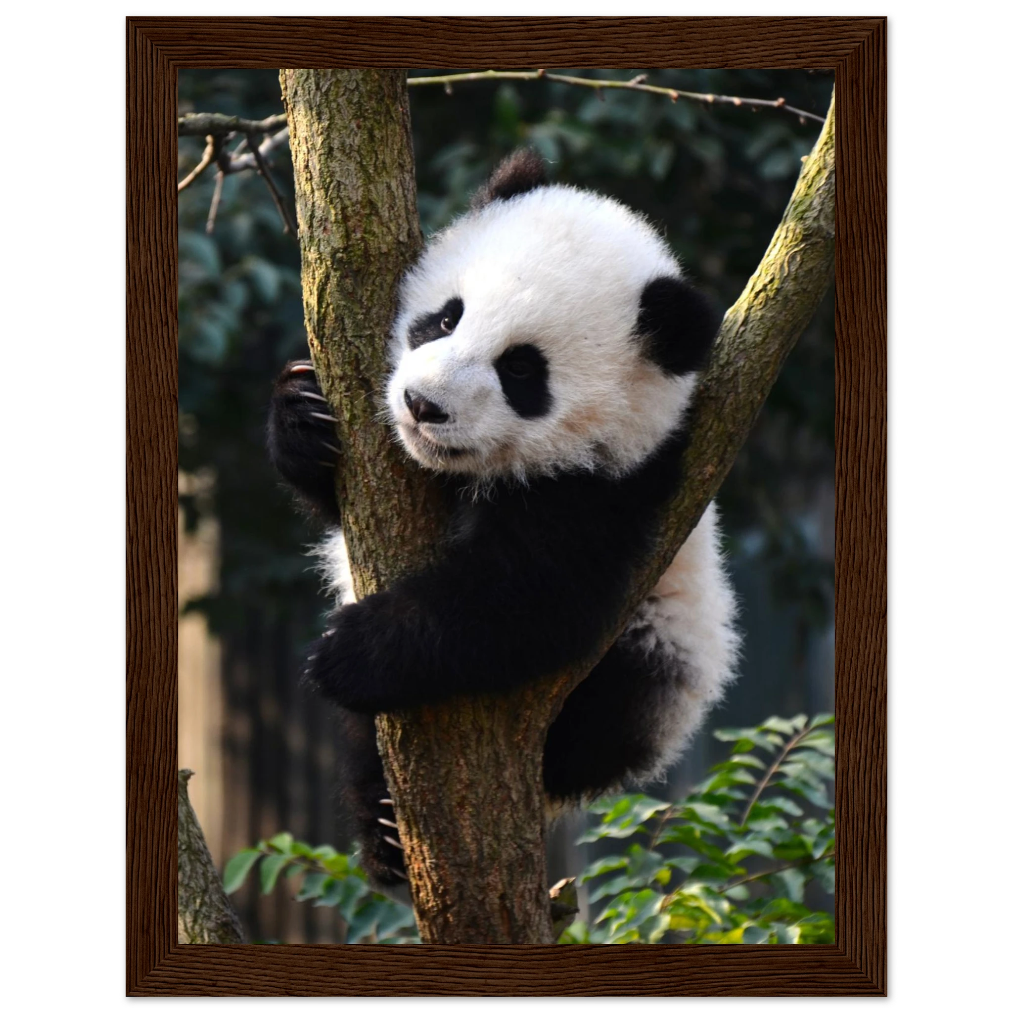 c35bbab6-9cd0-445b-8dbd-05e546fe41da