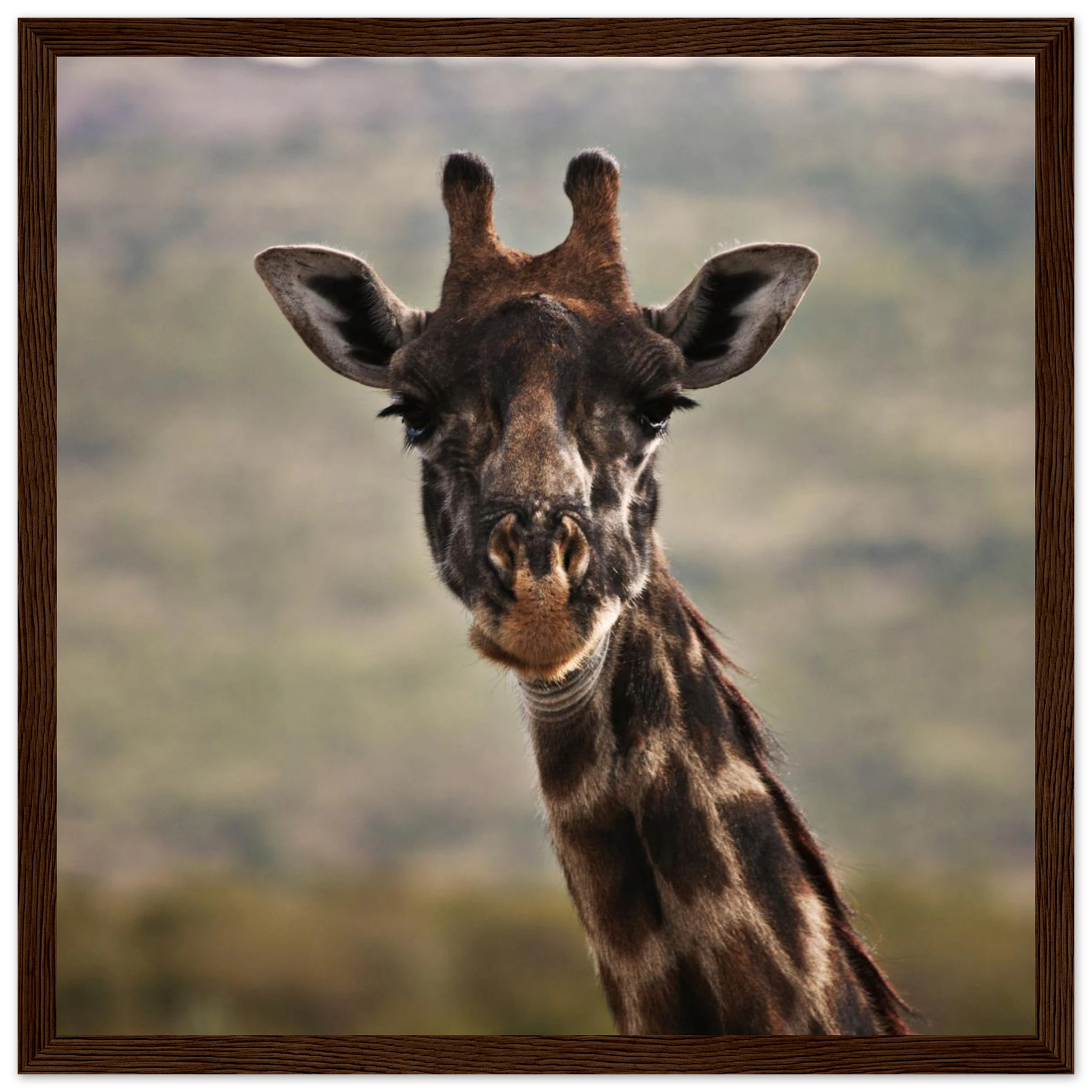 c35d97d5-0779-4beb-b5e4-26f009846472