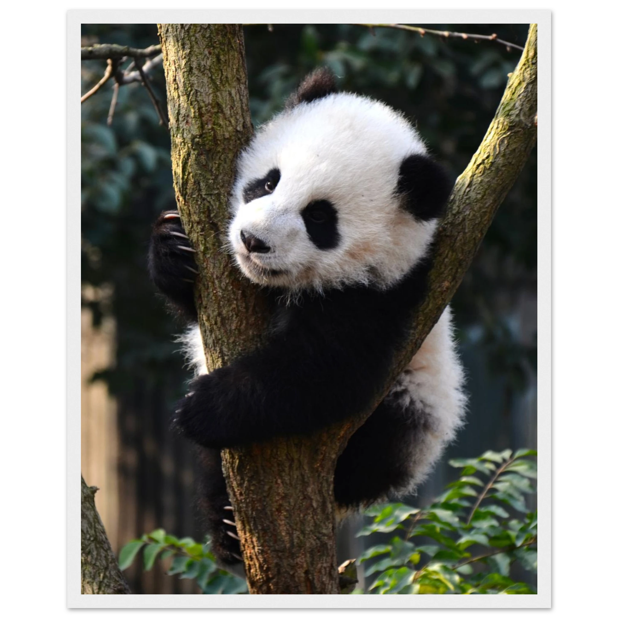 c361bb4f-693a-41f3-8664-0ad833a7ce59