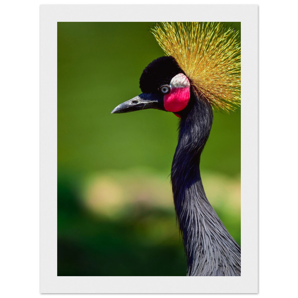 c3845eb2-5aa7-4a97-984c-bf999dd83936