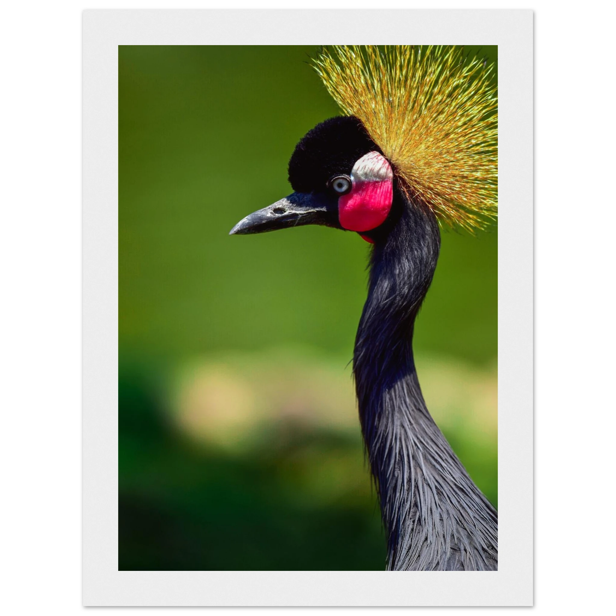 c3845eb2-5aa7-4a97-984c-bf999dd83936