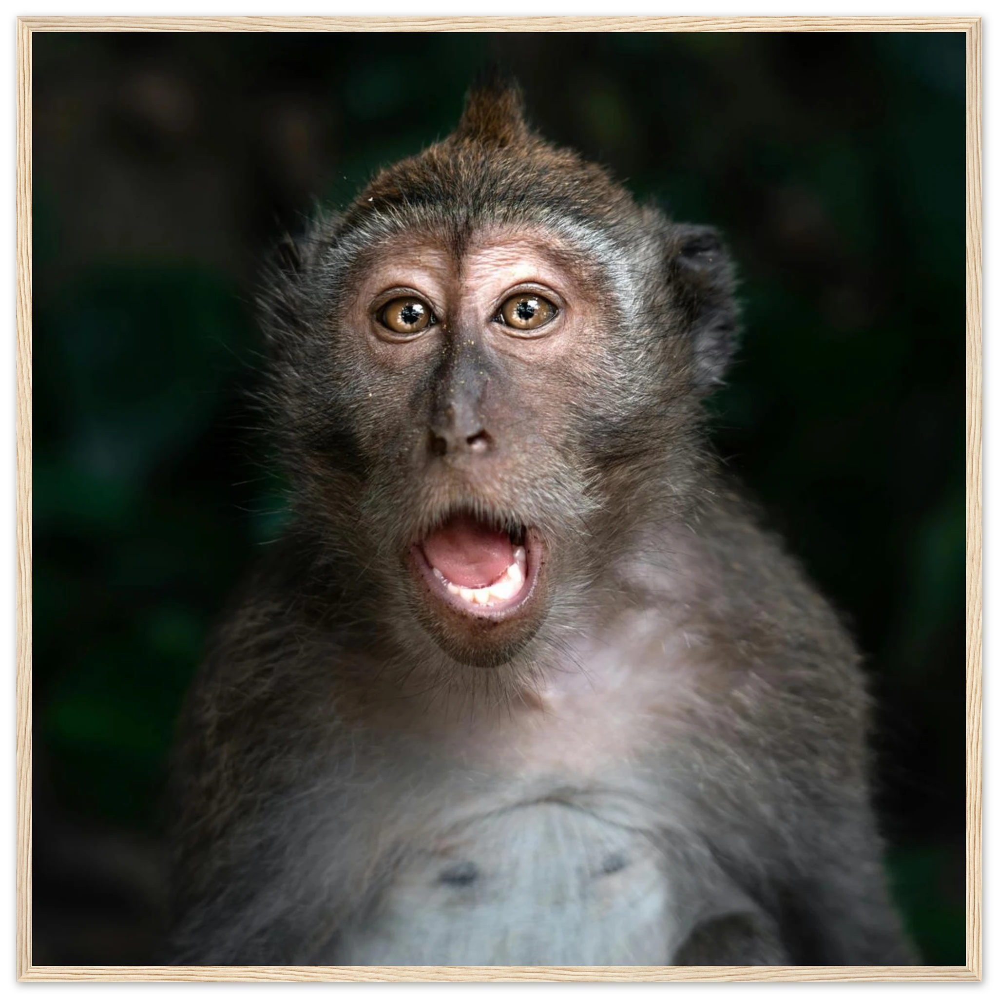 c3c50d3e-90e4-4e19-bda1-173be0fcdcb2