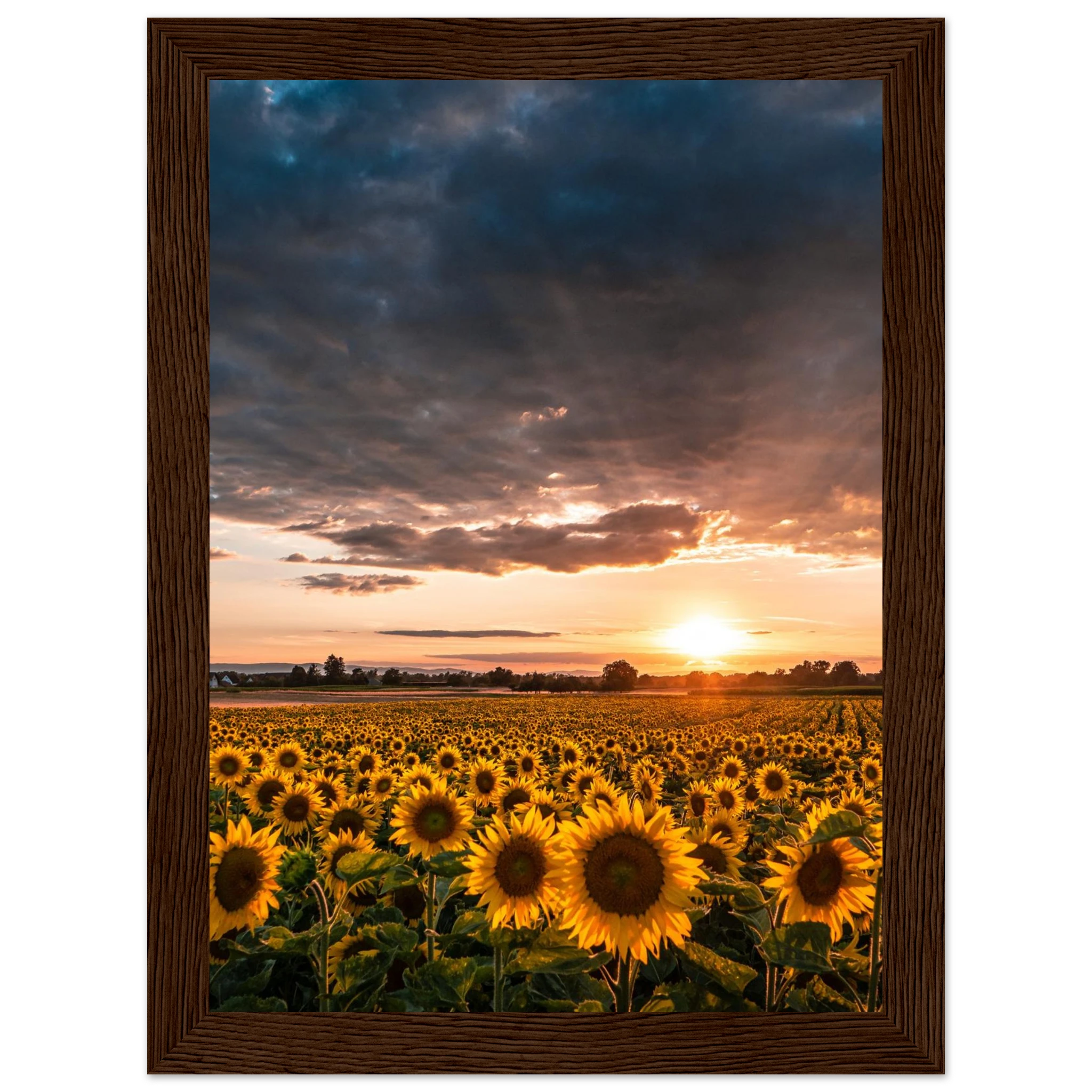 c3cede74-26b7-49e6-8fa5-7da919b16f4f